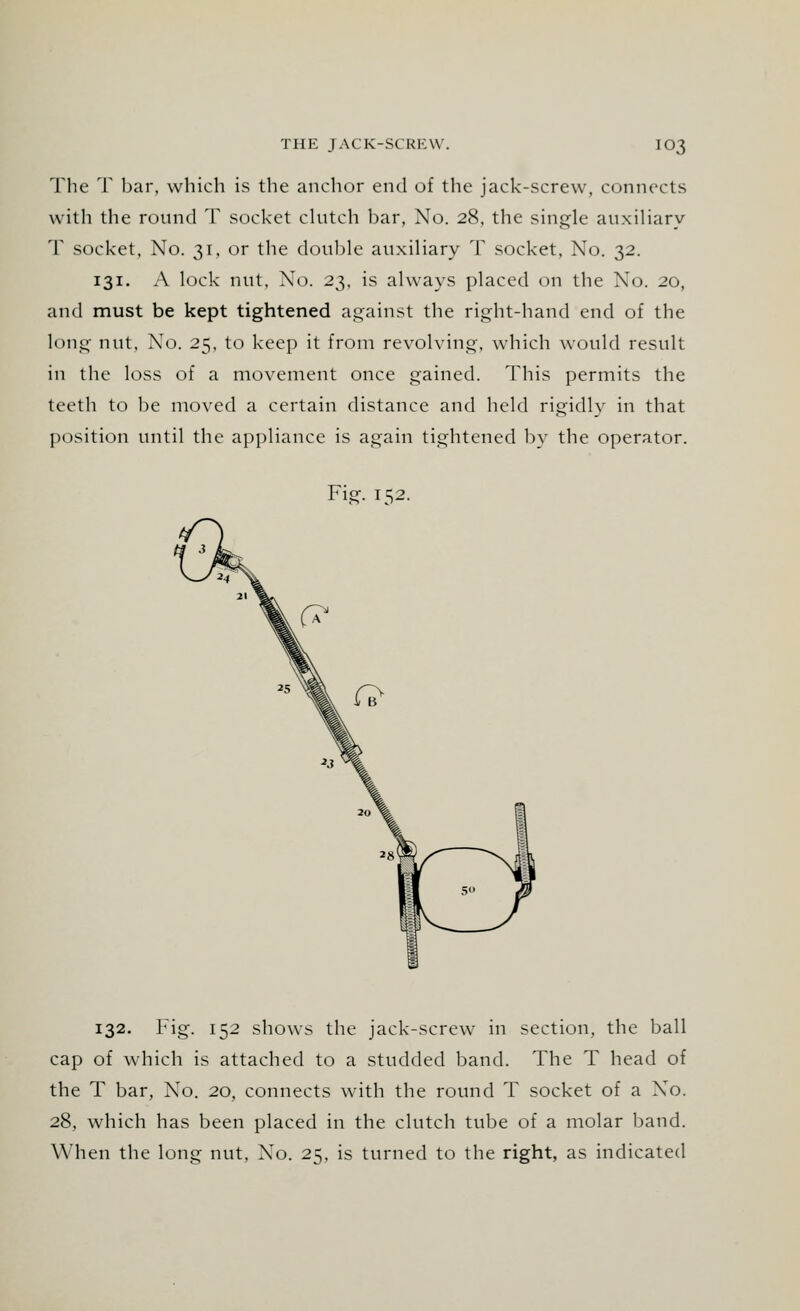 The T bar, which is the anchor end of the jack-screw, connects with the round T socket clutch bar, No. 28, the single auxiliary T socket, No. 31, or the double auxiliary T socket, No. 32. 131. A lock nut. No. 27,, is always placed on the No. 20, and must be kept tightened against the right-hand end of the long nut, No. 25, to keep it from revolving, which would result in the loss of a movement once gained. This permits the teeth to be moved a certain distance and held rigidly in that position until the appliance is again tightened by the operator. Fig. 152. 132. Fig. 152 shows the jack-screw in section, the ball cap of which is attached to a studded band. The T head of the T bar, No. 20, connects with the round T socket of a No. 28, which has been placed in the clutch tube of a molar band. When the long nut, No. 25, is turned to the right, as indicated