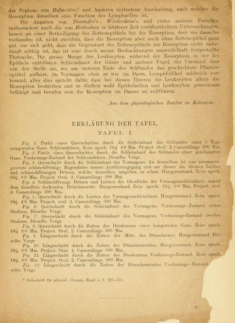 ilui- Pi'ptonc von Ilofme'ister:': mul Anderen vertretene Anschamiug, nach welcher Ah- Resorption derselben eine Function der Lyraphzellen ist. Die Angal>en von ThanhnffWs , Wiedershehii's nnd vieler anderer Forscher, insbesondere auch die von Heldenhain in letzterer Zeit veröflentlichten Untersuchungen, lassiui an einer Betheiligung des Zottenepithels bei der Resoi-ptiou, dort wo dasselbe vorhanden ist, nicht zweifeln, dass die Resoqjtion aber auch ohne Zottenepithel ganz gut vor sich geht, dass die Gegenwart des Zottenepithels zur Resoii^tion nicht unbe- dingt nöthig ist. das ist eine durch meine Beobachtungen unzweifelhaft i'estgestellte Tliatsaclie. Die grosse Menge der Leukocyten. während der Resorption, in der des l'lpitlu'ls entl)löst('n Schleimhaut der (iänse und anderer Yögel, der Umstand, dass \on der Stelle an, w(j am unteren Ende des Schlundes das geschichtete Pflaster- (■])ithel aufliört, im Vormagen eben so wie im Darm, Lymplifollikel zahlreich vor- Ivommt. alles dies spricht dafür, dass l)ei diesen Thieren die Leukocyten allein die Resorption bestreiten und so dürften wolil Epithelzellen und Leukocyten gemeinsam befähigt und berufen sein die Resoi-ption im Darme zu vollführen. Ana dem phi/siologisehen Institut 2u Kolozsvdr. ERKLÄRUNG DER TAFEL. T.VFKI. I. F'ki. 1. Partie eines Quev.schuittcs durch die Schleiiuluiut des Si'lilimdes einer .> Tage luingeruden Gans. Schleimdrüsen. Zeiss apoch. Obj. 4-0 Mm. Projeet. Oeul. 2. Cameralänge 300 Mm.  Fiq. 3. Partie eines Querschnittes durcli die Schleimhaut des Schlundes einer geschoppten Gans. Verdauungs-Zustand der Schleinulriisen. Dieselbe Vergr. Fhj. .=). Querschnitt durch die Schleimhaut des ^'ürmagens. An demselben ist eine zusammen- gesetzte schlauchförmige Magendrüse sammt Ausführungsgang und um diesen die kleinen Leisten und schlauchtormigen Drüsen, welche denselben umgeben, zu sehen. Hungerzustand. Zeiss apoch. Obj. 8-0 Mm. Projeet. Ocul. 2. Camaralänge '-WO Mm. FUj. 4. Schlauchförmige Drüsen und Lei.steu der Oberfläche der Vormagenschleirahaut. sammt dem dieselben deckenden Drüsensecrete. Hungerzustand. Zeiss apoch. Obj. 80 Mm. Projeet. ocul. 1. Cameralänge 30(1 Mm. Fhj. r,. (Querschnitt durch die Leisten der Vormagenschleimhaut. Huugerzustapd. Zeiss apoch Obj. 4-0 Mm. Projeet. ocul. 2. Cameralänge 300 Mm. Fl(j. (!. (Querschnitt durch die Schleimhaut des Vormagens. Verdauungs-Zustand erstes Stadium. Dieselbe Vergr. Fk). 7. (^lerschnitt durch die Schleimhaut des Vormagens. Verdauungs-Zustand zweites Stadium. Dieselbe Vergr. Fiii. S. C^ierschnitt durch die Zotten des Duodenums einer hungernden Gans. Zeiss apoch. Obj. 80 Mm. Projeet. Ocul. 2. Cameralänge 300 Mm. Fi;/. 9. Längesschnitt durch die Zotten der Mitte des Dünndarmes. Hungerzustand Die- selbe A'ergr. Fiij. 10. Längsschnitt durch die Zotten des Dünudarmendes. Huuger/.ustand. Zeiss apoch. Obj. 8-o' Mm. Projeet. (3cul. 4. Cameralänge 300 Mm. Fi<f. 11. Längsschnitt durch die Zotten des Duodenums. Verdauungs-Zustand. Zeiss apoch. Obj. 8-0' Mm. Projeet. Ocul. 2. Cameralänge 300 Mm. Fiii. 13. Längsschnitt d>irch die Zotten des Dünndarmendes. Verdauungs - Zustand, selbe Vergr. ♦ Zeitschrift für pliysiol. Choiuie. Band •>. .*. 127—1>1.