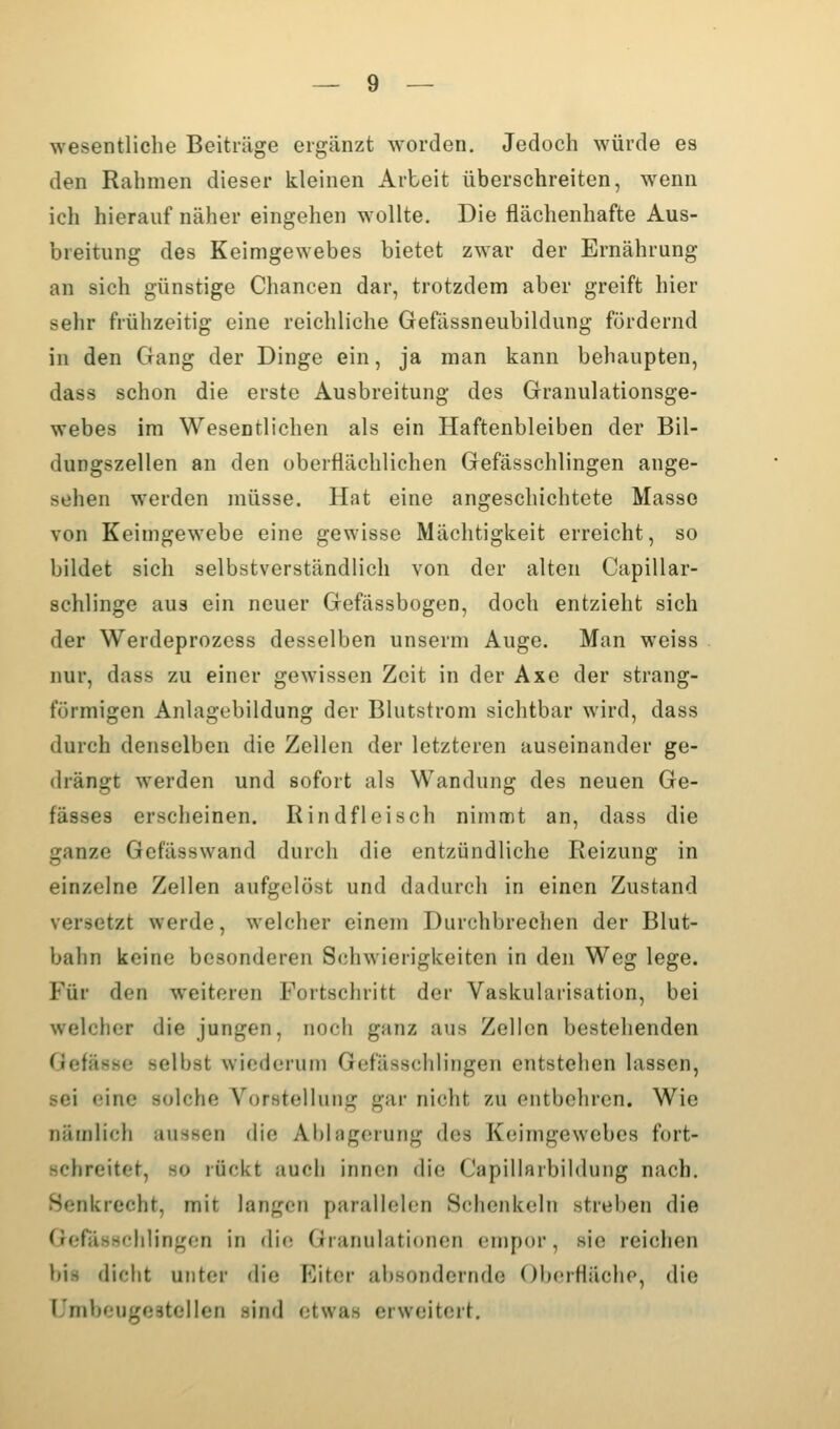 wesentliche Beiträge ergänzt worden. Jedoch würde es den Rahmen dieser kleinen Arbeit überschreiten, wenn ich hierauf näher eingehen wollte. Die flächenhafte Aus- breitung des Keimgewebes bietet zwar der Ernährung an sich günstige Chancen dar, trotzdem aber greift hier sehr frühzeitig eine reichliche Gefässneubildung fördernd in den Gang der Dinge ein, ja man kann behaupten, dass schon die erste Ausbreitung des Granulationsge- webes im Wesentlichen als ein Haftenbleiben der Bil- dungszellen an den oberflächlichen Gefässchlingen ange- sehen werden müsse. Hat eine angeschichtete Masse von Keimgewebe eine gewisse Mächtigkeit erreicht, so bildet sich selbstverständlich von der alten Capillar- schlinge aus ein neuer Gefässbogen, doch entzieht sich der Werdeprozess desselben unserm Auge. Man weiss nur, dass zu einer gewissen Zeit in der Axe der strang- förmigen Anlagebildung der Blutstrom sichtbar wird, dass durch denselben die Zellen der letzteren auseinander ge- drängt werden und sofort als Wandung des neuen Ge- fässes erscheinen. Rindfleisch nimmt an, dass die ganze Gefässwand durch die entzündliche Reizung in einzelne Zeilen aufgelöst und dadurch in einen Zustand versetzt werde, welcher einem Durchbreclien der Blut- bahn keine besonderen Schwierigkeiten in den Weg lege. Für den weiteren Fortschritt der Vaskularisation, bei welcher die jungen, noch ganz aus Zellen bestehenden Gefässe selbst wiederum Gefässchlingen entstehen lassen, sei eine solche Vorstellung gar nicht zu entbehren. Wie nämlich aussen die Ablagerung des Keimgewebes fort- schreitet, so rückt auch inncai die Capillarbildung nach. Senkrecht, mit langen parallelen Schenkeln streben die GerässchUngen in die Granulationen empor, sie reichen bis dicht ujiter die Eiter absondernde Oberfläche, die Umbcugestellen sind etwas erweitert.