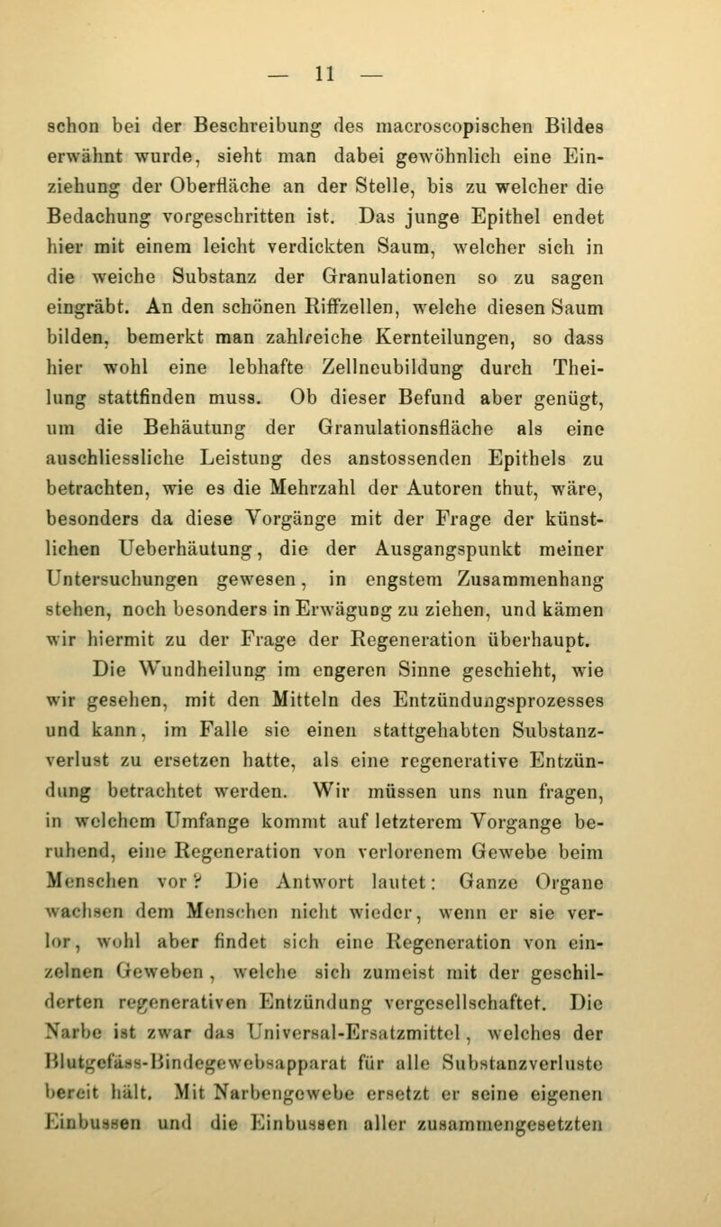 schon bei der Beschreibung des macroscopisehen Bildes erwähnt wurde, sieht man dabei gewöhnlich eine Ein- ziehung der Oberfläche an der Stelle, bis zu welcher die Bedachung vorgeschritten ist. Das junge Epithel endet hier mit einem leicht verdickten Saum, welcher sich in die weiche Substanz der Granulationen so zu sagen eingräbt. An den schönen Riffzellen, welche diesen Saum bilden, bemerkt man zahlreiche Kernteilungen, so dass hier wohl eine lebhafte Zellneubildung durch Thei- lung stattfinden muss. Ob dieser Befund aber genügt, um die Behäutung der Granulationsfläche als eine auschliessliche Leistung des anstossenden Epithels zu betrachten, wie es die Mehrzahl der Autoren thut, wäre, besonders da diese Vorgänge mit der Frage der künst- lichen Ueberhäulung, die der Ausgangspunkt meiner Untersuchungen gewesen, in engstem Zusammenhang stehen, noch besonders in Erwägung zu ziehen, und kämen wir hiermit zu der Frage der Regeneration überhaupt. Die Wundheilung im engeren Sinne geschieht, wne wir gesehen, mit den Mitteln des Entzündungsprozesses und kann, im Falle sie einen stattgehabten Substanz- verlust zu ersetzen hatte, als eine regenerative Entzün- dung betrachtet werden. Wir müssen uns nun fragen, in welchem Umfange kommt auf letzterem Vorgange be- ruhend, eine Regeneration von verlorenem Gewebe beim Menschen vor? Die Antwort lautet: Ganze Organe wachsen dem Menschen nicht wieder, wenn er sie ver- lor, wohl aber findet sich eine Regeneration von ein- zelnen Geweben , welche sich zumeist mit der geschil- derten regenerativen Entzündung vergesellschaftet. Die Narbe ist zwar das Universal-Ersatzmittcl, welches der BlutgcfäHH-Hindegewcbsapparat für alle Substanzverluste bereit hält. Mit Narbeiigewebe ersetzt er seine eigenen Einbuasen und die Einbuasen aller zusammengesetzten