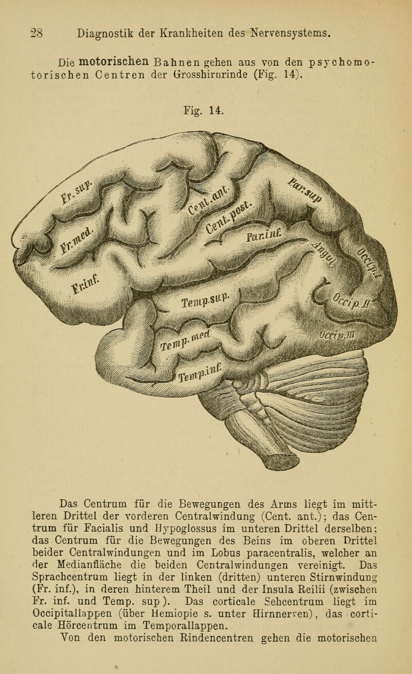 Die motorischen Bahnen gehen aus von den psychomo- torischen Centren der Grosshirnrinde (Fig. 14). Fiff. 14. Das Centrum für die Bewegungen des Arms liegt im mitt- leren Drittel der vorderen Centralwindung (Cent, ant.); das Cen- trum für Facialis und IJypoglossus im unteren Drittel derselben: das Centrum für die Bewegungen des Beins im oheren Drittel heider Centralwindungen und im Lobus paracentralis, welcher an der Medianfläche die beiden Centralwindungen vereinigt. Das Sprachcentrum liegt in der linken (dritten) unteren Stirnwindung (Fr. inf.), in deren hinterem Theil und der Insula Reilii (zwischen Fr. inf. und Temp. sup). Das corticale Sehcentrum liegt im Occipitallappen (über Uemiopie s. unter Hirnnerven), das corti- cale Hörcentrum im Temporallappen. Von den motorischen Rindencentren gehen die motorischen