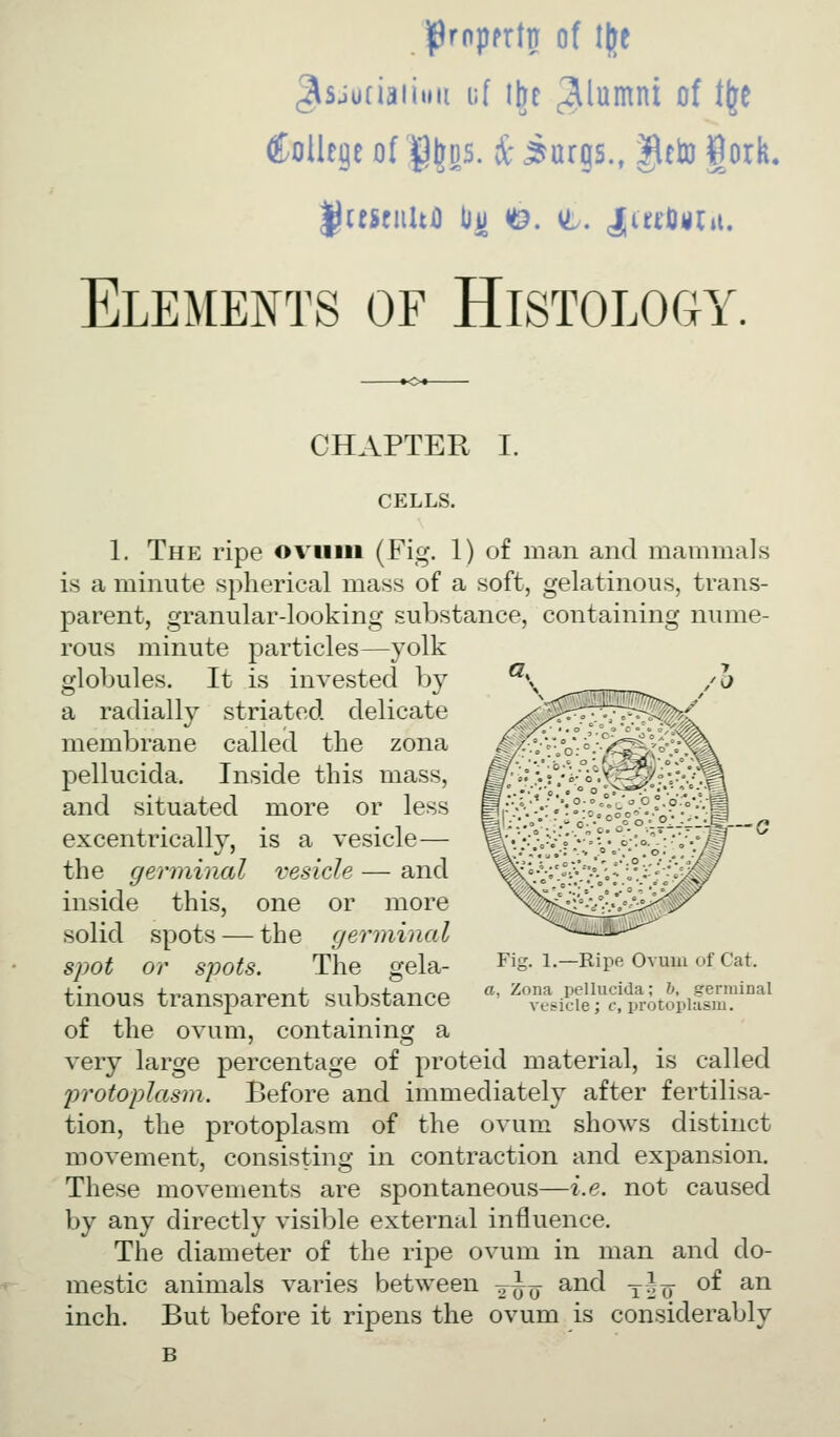 jprnpfrtn o( l\ft ^sjuciaiimi uf i^e ^^lumni of t^e CoUtgc of I^DS. & iurgs.. gfto fork, Elements of Histology. CHAPTER I. CELLS. 1. The ripe oviiiii (Fig. 1) of man and mammals is a minute spherical mass of a soft, gelatinous, trans- parent, granular-looking substance, containing nume- rous minute particles—yolk globules. It is invested by a radially striated delicate membrane called the zona pellucida. Inside this mass, and situated more or less excentrically, is a vesicle— the germinal vesicle — and inside this, one or more solid spots — the germinal spot or spots. The gela- tinous transparent substance of the ovum, containing a very large percentage of proteid material, is called protoplasm. Before and immediately after fertilisa- tion, the protoplasm of the ovum shoAv^s distinct movement, consisting in contraction and expansion. These movements are spontaneous—i.e. not caused by any directly visible external influence. The diameter of the ripe ovum in man and do- mestic animals varies between ^^^ and y^^ of an inch. But before it ripens the ovum is considerably V--^-c Fig. 1.—Ripe Ovum of Cat. a, Zona pellucida; h, gerniinal vesicle; c, protoplasm.