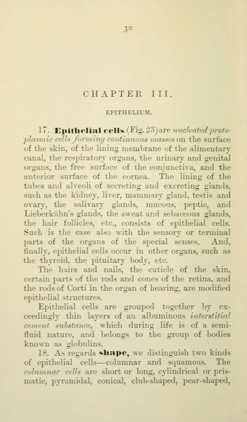 CHAPTER III. EPITHELIUM. 17. Epitlielial cells (Fig. 23)are nuchatedproto- 2)Io.srnic cells forming co/dinuoas masses on the surface of the skin, of the lining membrane of the alimentary canal, the respiratory organs, the urinary and genital organs, the free sui'face of the conjunctiva, and the anterior surface of the cornea. The lining of the tubes and alveoli of secretin^ and excretinoj slands, such as the kidney, liver, mammary gland, testis and ovary, the salivary glands, mucous, peptic, and Lieberkiihn's glands, the sweat and sebaceous glands, the hair follicles, etc., consists of epithelial cells. Such is the case also with the sensory or terminal parts of the organs of the special senses. And, finally, epithelial cells occur in other organs, such as the thyroid, the pituitary body, etc. The bail's and nails, the cuticle of the skin, certain parts of the rods and cones of the retina, and the rods of Corti in the organ of hearing, are modified epithelial structures. Epithelial cells are grouped together by ex- ceedingly thin layers of an albuminous interstitial cement substance, which duiing life is of a semi- fluid nature, and belongs to the gi'oup of bodies known as globulins. 18. As rec:ards shape, we distinguish two kinds of epithelial cells—columnar and squamous. The columnar cells are short or long, cylindrical or pris- matic, pyramidal, conical, club-shaped, pear-shaped,