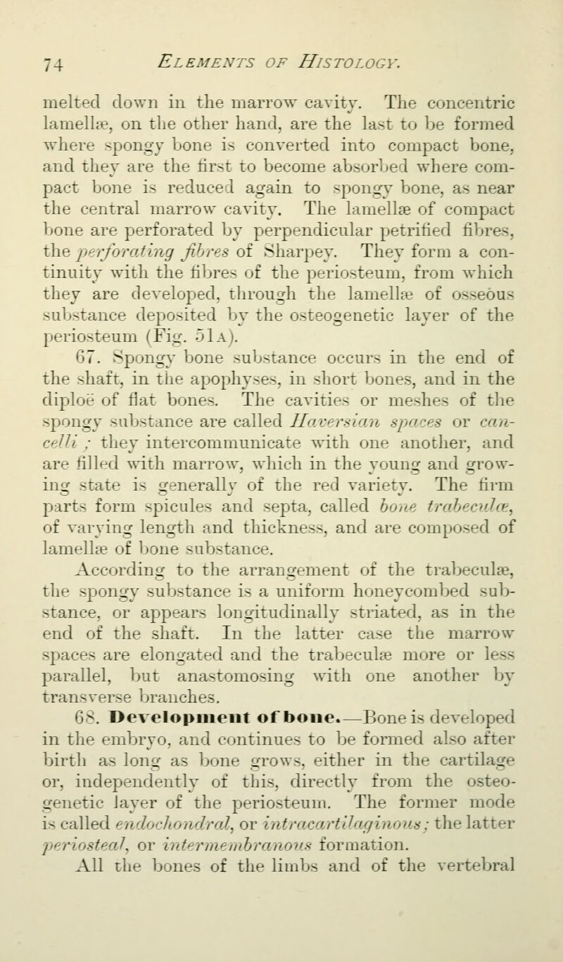 melted clown in the marrow cavity. The concentric lamellfe, on the other hand, are the last to be formed where spongy bone is converted into compact bone, and they are the tirst to become absorbed where com- pact bone is reduced again to spongy bone, as near the central marrow cavity. The lamellae of compact bone are perforated by perpendicular petrified fibres, the perforating fibres of Sharpey. They form a con- tinuity with the fibres of the periosteum, from which they are developed, through the lamellae of osseous substance deposited by the osteogenetic layer of the periosteum (Fig. 51a). 67. Spongy- bone substance occurs in the end of the shaft, in the apophyses, in short bones, and in the diploe of flat bones. The cavities or meshes of the spongy substance are called Haversian spaces or can- celli; they intercommunicate with one another, and are filled with marrow, which in the vouncf and grow- inij state is fjenerallv of the red varietv. The firm parts form spicules and septa, called hone trahecuUt, of varying length and thickness, and are composed of lamellae of bone substance. According to the arrangement of the trabeculse, the spongy substance is a uniform honeycombed sub- stance, or appears longitudinally striated, as in the end of the shaft. In the latter case the marrow spacas are elongated and the trabeculse more or less parallel, but anastomosing with one another by transverse Ijranches. 68. Development of bone.—Bone is developed in the embryo, and continues to be fonned also after birth as long as bone grows, either in the cartilage or, independently of this, directly from the osteo- genetic layer of the periosteum. The former mode is called endodiondral, or intracartilagino^is: the latter periosteal^ or inter memhranous formation. All the bones of the limbs and of the vertebral