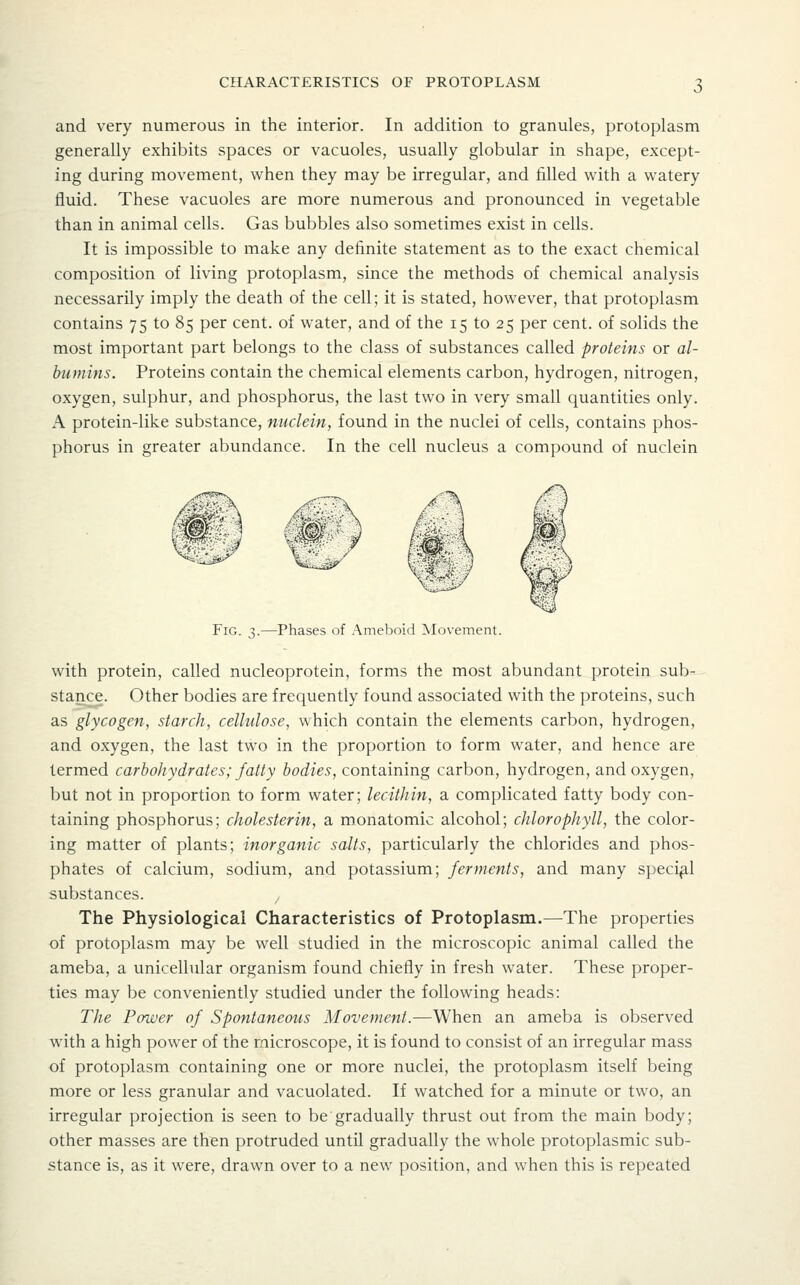 and very numerous in the interior. In addition to granules, protoplasm generally exhibits spaces or vacuoles, usually globular in shape, except- ing during movement, when they may be irregular, and tilled with a watery fluid. These vacuoles are more numerous and pronounced in vegetable than in animal cells. Gas bubbles also sometimes exist in cells. It is impossible to make any definite statement as to the exact chemical composition of living protoplasm, since the methods of chemical analysis necessarily imply the death of the cell; it is stated, however, that protoplasm contains 75 to 85 per cent, of water, and of the 15 to 25 per cent, of solids the most important part belongs to the class of substances called proteins or al- bumins. Proteins contain the chemical elements carbon, hydrogen, nitrogen, oxygen, sulphur, and phosphorus, the last two in very small quantities only. A protein-like substance, nuclein, found in the nuclei of cells, contains phos- phorus in greater abundance. In the cell nucleus a compound of nuclein Fig. 3.—Phases of Ameboid Movement. with protein, called nucleoprotein, forms the most abundant protein sub- stance. Other bodies are frequently found associated with the proteins, such as glycogen, starch, cellulose, which contain the elements carbon, hydrogen, and oxygen, the last two in the proportion to form water, and hence are termed carbohydrates; fatty bodies, containing carbon, hydrogen, and oxygen, but not in proportion to form water; lecithin, a complicated fatty body con- taining phosphorus; cholesterin, a monatomic alcohol; chlorophyll, the color- ing matter of plants; inorganic salts, particularly the chlorides and phos- phates of calcium, sodium, and potassium; ferments, and many special substances. The Physiological Characteristics of Protoplasm.—The properties of protoplasm may be well studied in the microscopic animal called the ameba, a unicellular organism found chiefly in fresh water. These proper- ties may be conveniently studied under the following heads: The Power of Spontaneous Movement.—When an ameba is observed with a high power of the microscope, it is found to consist of an irregular mass of protoplasm containing one or more nuclei, the protoplasm itself being more or less granular and vacuolated. If watched for a minute or two, an irregular projection is seen to be gradually thrust out from the main body; other masses are then protruded until gradually the whole protoplasmic sub- stance is, as it were, drawn over to a new position, and when this is repeated