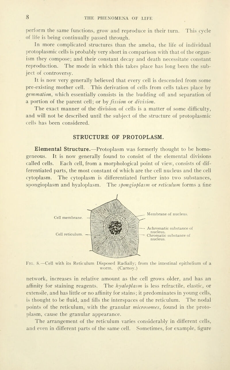 perform the same functions, grow and re])roduce in their turn. This cycle of lite is l)eing continually passed through. In more complicated structures than the ameba, the life of individual protoplasmic cells is pro])ably very short in comparison with that of the organ- ism they compose; and their constant decay and death necessitate constant reproduction. The mode in which this takes place has long been the sub- ject of controversy. It is now very generally believed that every cell is descended from some pre-existing mother cell. This derivation of cells from cells takes place by gemmation, which essentially consists in the budding off and separation of a portion of the parent cell; or hy fission or division. The exact manner of the division of cells is a matter of some difficulty, and will not be described until the subject of the structure of protoplasmic cells has been considered. STRUCTURE OF PROTOPLASM. Elemental Structure.—Protoplasm was formerly thought to be homo- geneous. It is now generally found to consist of the elemental divisions called cells. Each cell, from a morphological point of view, consists of dif- ferentiated parts, the most constant of which are the cell nucleus and the cell cytoplasm. The cytoplasm is differentiated further into two substances, spongioplasm and hyaloplasm. The spongioplasm or reliculuin forms a fine Cell membrane. Cell reticulum. Membrane of nucleus. K ^ ^P(I^S^\ Achromatic substance of i. W^^^l nucleus. ■ Chromatic substance of nucleus. Fig. 8.—Cell with its Reticulum Disposed Radially; from the intestinal epithelium of a worm. (Carnoy.) network, increases in relative amount as the cell grows older, and has an affinity for staining reagents. The hyaloplasm is less refractile, elastic, or extensile, and has little or no affinity for stains; it predominates in young cells, is thought to be fluid, and fills the interspaces of the reticulum. The nodal points of the reticulum, with the granular microsomes, found in the proto- plasm, cause the granular appearance. The arrangement of the reticulum varies considerably in different cells, and even in different parts of the same cell. Sometimes, for example, figure