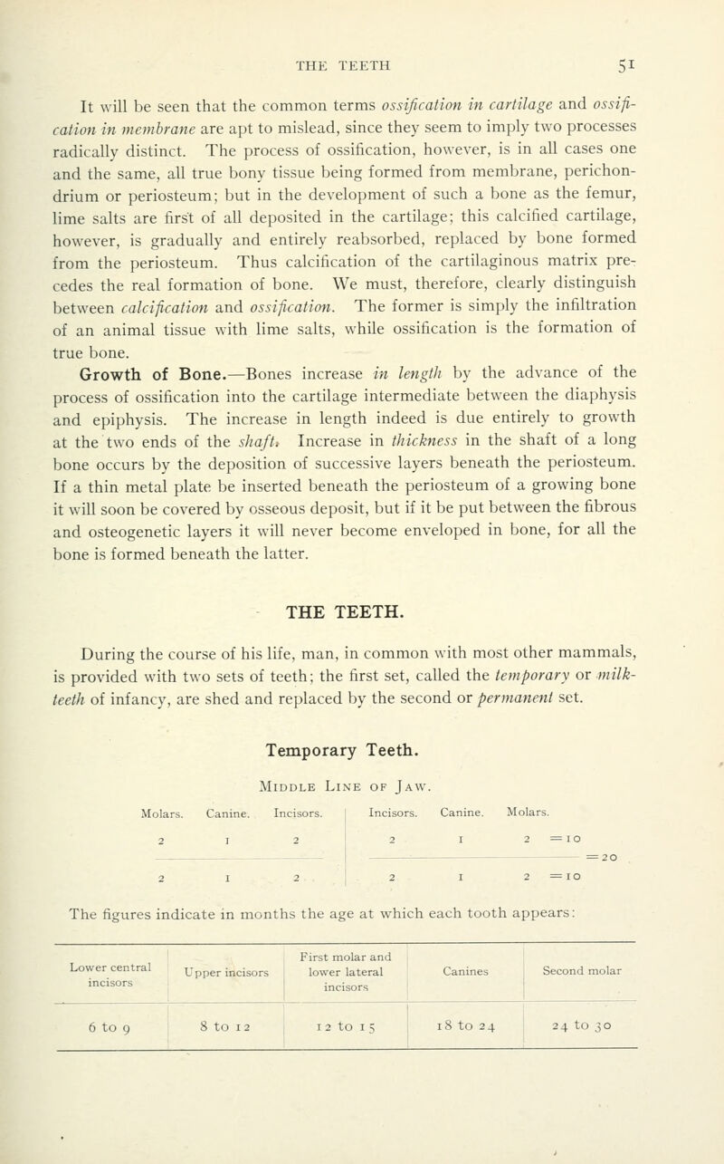 It will be seen that the common terms ossification in cartilage and ossiii- cation in membrane are apt to mislead, since they seem to imply two processes radically distinct. The process of ossification, however, is in all cases one and the same, all true bony tissue being formed from membrane, perichon- drium or periosteum; but in the development of such a bone as the femur, lime salts are first of all deposited in the cartilage; this calcified cartilage, however, is gradually and entirely reabsorbed, replaced by bone formed from the periosteum. Thus calcification of the cartilaginous matrix pre- cedes the real formation of bone. We must, therefore, clearly distinguish between calcification and ossification. The former is simply the infiltration of an animal tissue with lime salts, while ossification is the formation of true bone. Growth of Bone.—Bones increase in length by the advance of the process of ossification into the cartilage intermediate between the diaphysis and epiphysis. The increase in length indeed is due entirely to growth at the two ends of the shafts Increase in thickness in the shaft of a long bone occurs by the deposition of successive layers beneath the periosteum. If a thin metal plate be inserted beneath the periosteum of a growing bone it will soon be covered by osseous deposit, but if it be put between the fibrous and osteogenetic layers it will never become enveloped in bone, for all the bone is formed beneath ihe latter. THE TEETH. During the course of his life, man, in common with most other mammals, is provided with two sets of teeth; the first set, called the temporary or milk- teeth of infancy, are shed and replaced by the second or permanent set. Temporary Teeth. Middle Line of Jaw. Molars. Canine. Incisors. ' Incisors. Canine. Molars. 2 I 2 I 2 I 2=IO The figures indicate in months the age at which each tooth appears: First molar and Lower central Upper incisors I lower lateral Canines Second molar incisors mcisors 6 to 9 8 to 12 12 to 15 \ 18 to 24 [ 24 to 30