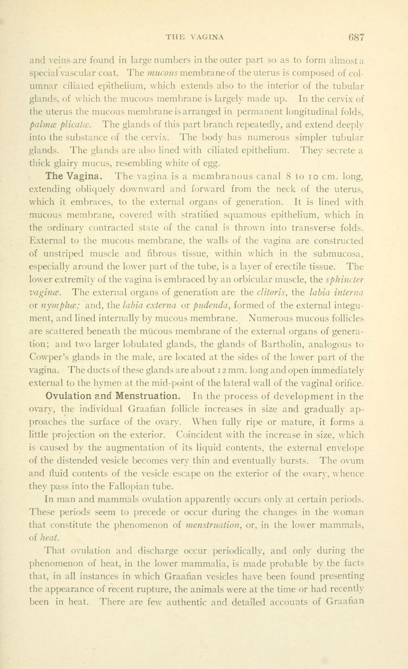 and veins are found in large numbers in the outer part so as to form almost a special vascular coat. The mucous membrane of the uterus is composed of col- umnar ciliated epithelium, which extends also to the interior of the tubular glands, of which the mucous membrane is largely made up. In the cervix of the uterus the mucous membrane is arranged in permanent longitudinal folds, palmce plicatcs. The glands of this part branch repeatedly, and extend deeplv into the substance of the cervix. The body has numerous simpler tubular glands. The glands are also lined with ciliated epithelium. They secrete a thick glairy mucus, resembling white of egg. The Vagina. The vagina is a membranous canal 8 to 10 cm. long, extending obliquely downward and forward from the neck of the uterus, which it embraces, to the external organs of generation. It is lined with mucous membrane, covered with stratified squamous epithelium, which in the ordinary contracted state of the canal is thrown into transverse folds. External to the mucous membrane, the walls of the vagina are constructed of unstriped muscle and fibrous tissue, within which in the submucosa, especially around the lower part of the tube, is a layer of erectile tissue. The lower extremity of the vagina is embraced by an orbicular muscle, the sphincter vagina;. The external organs of generation are the clitoris, the labia interna or nymphes; and, the labia externa or pudenda, formed of the external integu- ment, and lined internally by mucous membrane. Numerous mucous follicles are scattered beneath the mucous membrane of the external organs of genera- tion; and two larger lobulated glands, the glands of Bartholin, analogous to Cowper's glands in the male, are located at the sides of the lower part of the vagina. The ducts of these glands are about 12 mm. long and open immediately external to the hymen at the mid-point of the lateral wall of the vaginal orifice. Ovulation and Menstruation. In the process of development in the ovary, the individual Graafian follicle increases in size and graduallv ap- proaches the surface of the ovary. When fully ripe or mature, it forms a little projection on the exterior. Coincident with the increase in size, which is caused by the augmentation of its liquid contents, the external envelope of the distended vesicle becomes very thin and eventually bursts. The ovum and lluid contents of the vesicle escape on the exterior of the ovary, whence they pass into the Fallopian tube. In man and mammals ovulation apparently occurs only at certain periods. These periods seem to precede or occur during the changes in the woman that constitute the phenomenon of menstruation, or, in the lower mammals, of heat. That ovulation and discharge occur periodically, and only during the phenomenon of heat, in the lower mammalia, is made probable by the facts that, in all instances in which Graafian vesicles have been found presenting the appearance of recent rupture, the animals were at the time or had recently been in heat. There are few authentic and detailed accounts of Graafian