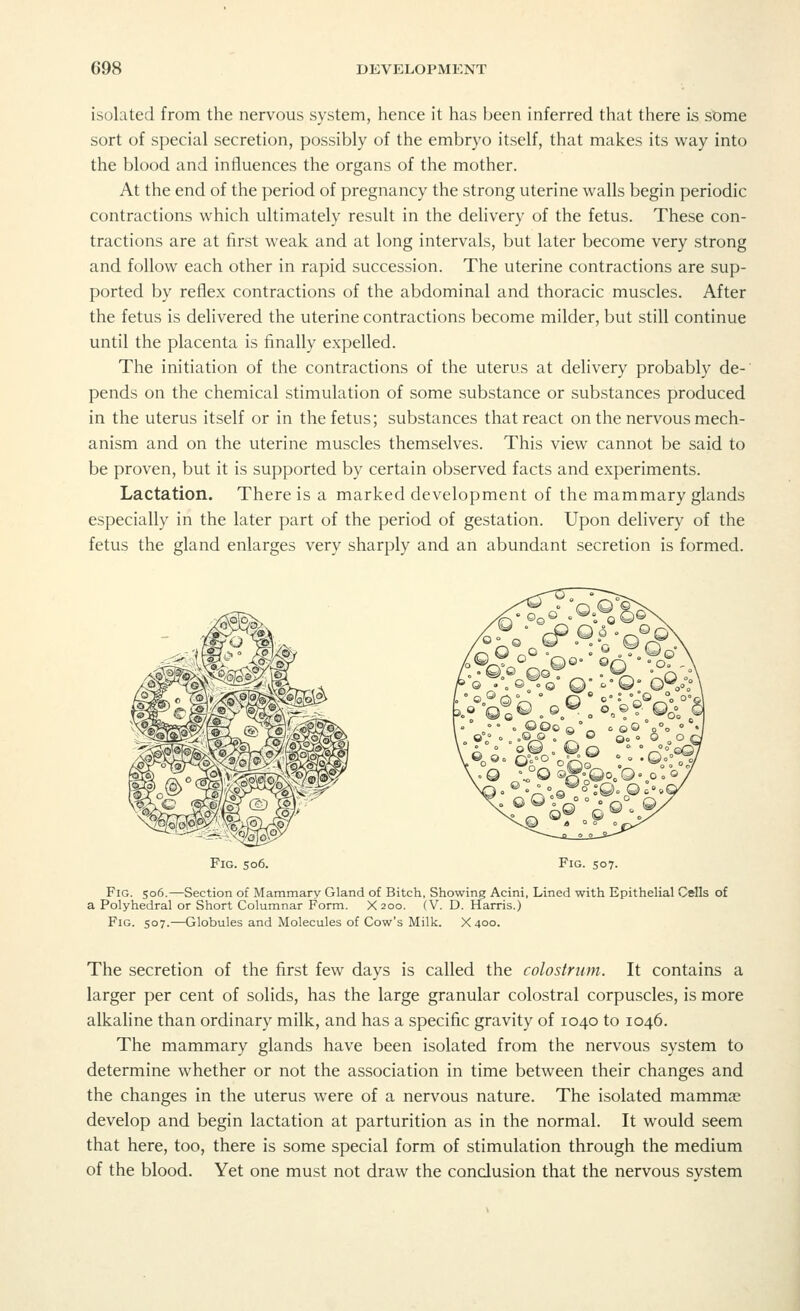 isolated from the nervous system, hence it has been inferred that there is some sort of special secretion, possibly of the embryo itself, that makes its way into the blood and influences the organs of the mother. At the end of the period of pregnancy the strong uterine walls begin periodic contractions which ultimately result in the delivery of the fetus. These con- tractions are at first weak and at long intervals, but later become very strong and follow each other in rapid succession. The uterine contractions are sup- ported by reflex contractions of the abdominal and thoracic muscles. After the fetus is delivered the uterine contractions become milder, but still continue until the placenta is finally expelled. The initiation of the contractions of the uterus at delivery probably de- pends on the chemical stimulation of some substance or substances produced in the uterus itself or in the fetus; substances that react on the nervous mech- anism and on the uterine muscles themselves. This view cannot be said to be proven, but it is supported by certain observed facts and experiments. Lactation. There is a marked development of the mammary glands especially in the later part of the period of gestation. Upon delivery of the fetus the gland enlarges very sharply and an abundant secretion is formed. Fig. 506. Fig. 507. Fig. 506.—Section of Mammary Gland of Bitch, Showing Acini, Lined with Epithelial Cells of a Polyhedral or Short Columnar Form. X 200. (V. D. Harris.) Fig. 507.—Globules and Molecules of Cow's Milk. X 400. The secretion of the first few days is called the colostrum. It contains a larger per cent of solids, has the large granular colostral corpuscles, is more alkaline than ordinary milk, and has a specific gravity of 1040 to 1046. The mammary glands have been isolated from the nervous system to determine whether or not the association in time between their changes and the changes in the uterus were of a nervous nature. The isolated mammae develop and begin lactation at parturition as in the normal. It would seem that here, too, there is some special form of stimulation through the medium of the blood. Yet one must not draw the conclusion that the nervous system