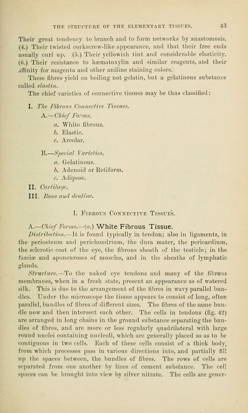 Their great tendency to branch and to form networks by anastomosis. (4.) Their twisted corkscrew-like appearance, and that their free ends usually curl up, (o.) Their yellowish tint and considerable elasticity. (6.) Their resistance to hfematoxylin and similar reagents, and their affinity for magenta and other aniline staining colors. These fibres yield on boiling not gelatin, but a gelatinous substance called elastin. The chief varieties of connective tissues may be thus classified: I. The Fibrous Connective Tissues. A.—Chief Forms. a. White fibrous. b. Elastic. c. Areolar. B.—Special Varieties. a. Gelatinous. b. Adenoid or Eetiform. c. Adipose. II. Cartilage. III. Bone a)id dentine. I. Fibrous Connective Tissues. A.—Chief Forms.—(rr.) White Fibrous Tissue. Distrihuti'ni.—It is found typically in tendon; also in ligaments, in the periosteum and perichondrium, the dura mater, the pericardium, the sclerotic coat of the eye, the fibrous sheath of the testicle; in the fasciae and aponeuroses of muscles, and in the sheaths of lymphatic glands. Structure.—To tlie naked eye tendons and many of the filirous membranes, when in a fresh state, present an appearance as of watered silk. This is due to the arrangement of the fibres in wavy parallel bun- dles. Under the microscope the tissue appears to consist of long, often parallel, bundles of fibres of different sizes. The fibres of the same bun- dle now and then intersect each other. The cells in tendons (fig. 42) are arranged in long chains in the ground substance separating the bun- dles of fibres, and are more or less regularly quadrilateral with large round nuclei containing nucleoli, which are generally placed so as to be contiguous in two cells. Each of these cells consist of a thick body, from which processes pass in various directions into, and partially fill up the spaces between, the bundles of fibres. The rows of cells are separated from one another by lines of cement substance. The cell spaces can be brought into view by silver nitrate. The cells are gener-