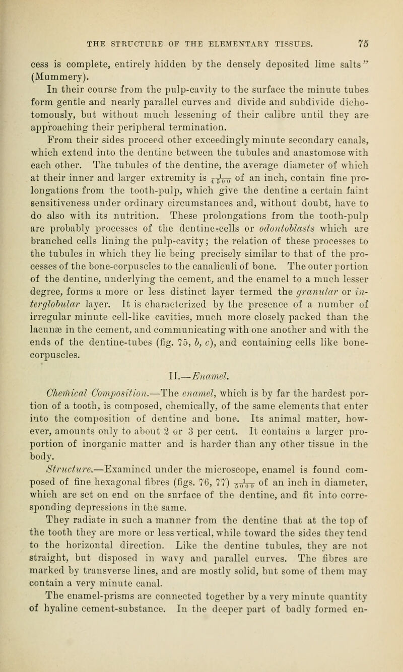 cess is complete, entirely hidden by the densely deposited lime salts'* (Mummery). In their course from the pulp-cavity to the surface the minute tubes form gentle and nearly parallel curves and divide and subdivide dicho- tomously, but without much lessening of their calibre until they are approaching their jDeripheral termination. From their sides proceed other exceedingly minute secondary canals, which extend into the dentine between the tubules and anastomose with each other. The tubules of the dentine, the average diameter of which at their inner and larger extremity is j^Vo of an inch, contain fine pro- longations from the tooth-pulj), which give the dentine a certain faint sensitiveness under ordinary circumstances and, without doubt, have to do also Avith its nutrition. These prolongations from the tooth-pulp are probably processes of the dentine-cells or odontohlasts which are branched cells lining the pulp-cavity; the relation of these processes to the tubules in which they lie being precisely similar to that of the pro- cesses of the bone-corpuscles to the canaliculi of bone. The outer portion of the dentine, underlying the cement, and the enamel to a much lesser degree, forms a more or less distinct layer termed the granular or in- terglohular layer. It is characterized by the presence of a number of irregular minute cell-like cavities, much more closely packed than the lacuna3 in the cement, and communicating with one another and with the ends of the dentine-tubes (fig. 75, b, c), and containing cells like bone- corpuscles. II,—Enamel. Chemical Composition.—The enamel, which is by far the hardest por- tion of a tooth, is composed, chemically, of the same elements that enter into the composition of dentine and bone. Its animal matter, how- ever, amounts only to about 2 or 3 per cent. It contains a larger pro- portion of inorganic matter and is harder than any other tissue in the body. Structure.—Examined under the microscope, enamel is found com- posed of fiine hexagonal fibres (figs. 76, 77) -g-yVo ^^ ^^ inch in diameter, which are set on end on the surface of the dentine, and fit into corre- sponding depressions in the same. They radiate in such a manner from the dentine that at the top of the tooth they are more or less vertical, while toward the sides they tend to the horizontal direction. Like the dentine tubules, they are not straight, but disposed in wavy and parallel curves. The fibres are marked by transverse lines, and are mostly solid, but some of them may contain a very minute canal. The enamel-prisms are connected together by a very minute quantity of hyaline cement-substance. In the deeper part of badly formed en-
