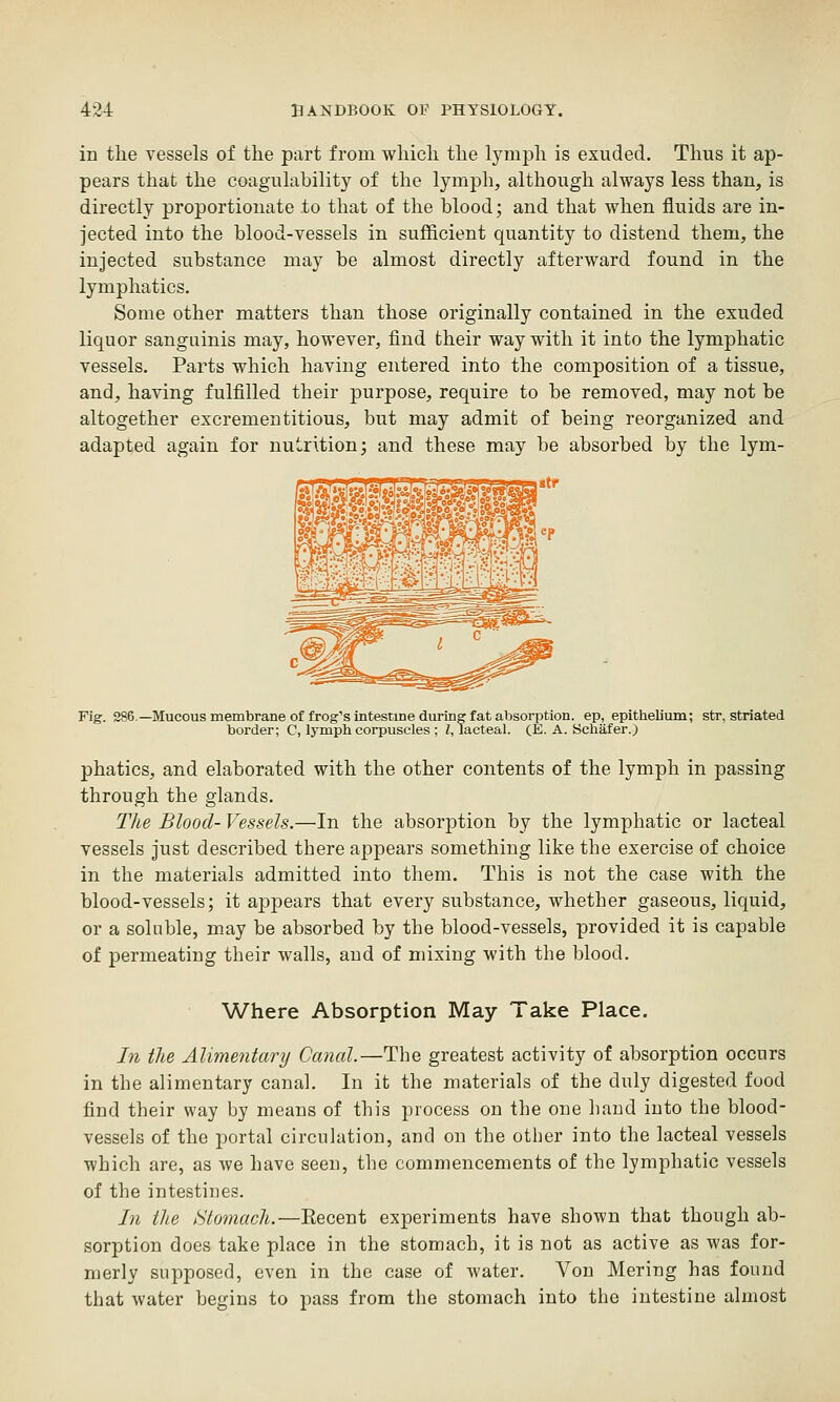 in the vessels of the part from which the lymph is exuded. Thus it ap- pears that the coagulability of the lymph, although always less than, is directly proportionate to that of the blood; and that when fluids are in- jected into the blood-vessels in sufficient quantity to distend them, the injected substance may be almost directly afterward found in the lymphatics. Some other matters than those originally contained in the exuded liquor sanguinis may, however, find their way with it into the lymphatic vessels. Parts which having entered into the composition of a tissue, and, having fulfilled their purpose, require to be removed, may not be altogether excrementitious, but may admit of being reorganized and adapted again for nutrition; and these may be absorbed by the lym- Fig. 286—Mucous membrane of frog's intestine during fat absorption, ep, epithelium; str, striated border; C, lymph corpuscles ; Z, lacteal. (E. A. Schafer.) phatics, and elaborated with the other contents of the lymph in passing through the glands. The Blood- Vessels.—In the absorption by the lymphatic or lacteal vessels just described tbere appears something like the exercise of choice in the materials admitted into them. This is not the case with the blood-vessels; it appears that every substance, whether gaseous, liquid, or a soluble, may be absorbed by the blood-vessels, provided it is capable of permeating their walls, and of mixing with the blood. Where Absorption May i ake Place. In the Alimentary Canal.—The greatest activity of absorption occurs in the alimentary canal. In it the materials of the duly digested food find their way by means of this process on the one hand into the blood- vessels of the portal circulation, and on the other into the lacteal vessels which are, as we have seen, the commencements of the lymphatic vessels of the intestines. In the Stomach.—Eecent experiments have shown that though ab- sorption does take place in the stomach, it is not as active as was for- merly supposed, even in the case of water. Von Mering has found that water begins to pass from the stomach into the intestine almost