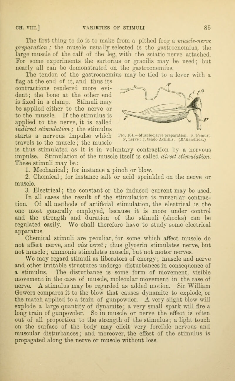 Fk;. 104.-Muscle-nerve preparation, f, Femur; N, nerve; j, tendo Achillis. (M'Ken'lrick.) The first thing to do is to make from a pithed frog a muscle-nerve preparation; the muscle usually selected is the gastrocnemius, the large muscle of the calf of the leg, with the sciatic nerve attached. For some experiments the sartorius or gracihs may be used; but nearly all can be demonstrated on the gastrocnemius. The tendon of the gastrocnemius may be tied to a lever with a flag at the end of it, and thus its contractions rendered more evi- dent ; the bone at the other end is fixed in a clamp. Stimuli may be applied either to the nerve or to the muscle. If the stimidus is applied to the nerve, it is called indirect stimulation ; the stimulus starts a nervous impulse which travels to the muscle; the muscle is thus stimulated as it is in voluntary contraction by a nervous impulse. Stimulation of the muscle itself is called direct stimulation. These stimuli may be: 1. Mechanical; for instance a pinch or blow. 2. Chemical; for instance salt or acid sprinkled on the nerve or muscle. 3. Electrical; the constant or the induced current may be used. In all cases the result of the stimulation is muscular contrac- tion. Of all methods of artificial stimulation, the electrical is the one most generally employed, because it is more under control and the strength and duration of the stimuli (shocks) can be regulated easily. We shall therefore have to study some electrical apparatus. Chemical stimuli are peculiar, for some which afi'ect muscle do not affect nerve, and vice versa; thus glycerin stimulates nerve, but not muscle; ammonia stimulates muscle, but not motor nerves. We may regard stimuli as liberators of energy; muscle and nerve and other irritable structures undergo disturbances in consequence of a stimulus. The disturbance is some form of movement, visible movement in the case of muscle, molecular movement in the case of nerve. A stimulus may be regarded as added motion. Sir William Gowers compares it to the blow that causes dynamite to explode, or the match applied to a train of gunpowder. A very slight blow will explode a large quantity of dynamite; a very small spark will fire a long train of gunpowder. So in muscle or nerve the effect is often out of all proportion to the strength of the stimulus; a light touch on the surface of the body may elicit very forcible nervous and muscular disturbances; and moreover, the effect of the stimulus is propagated along the nerve or muscle without loss.