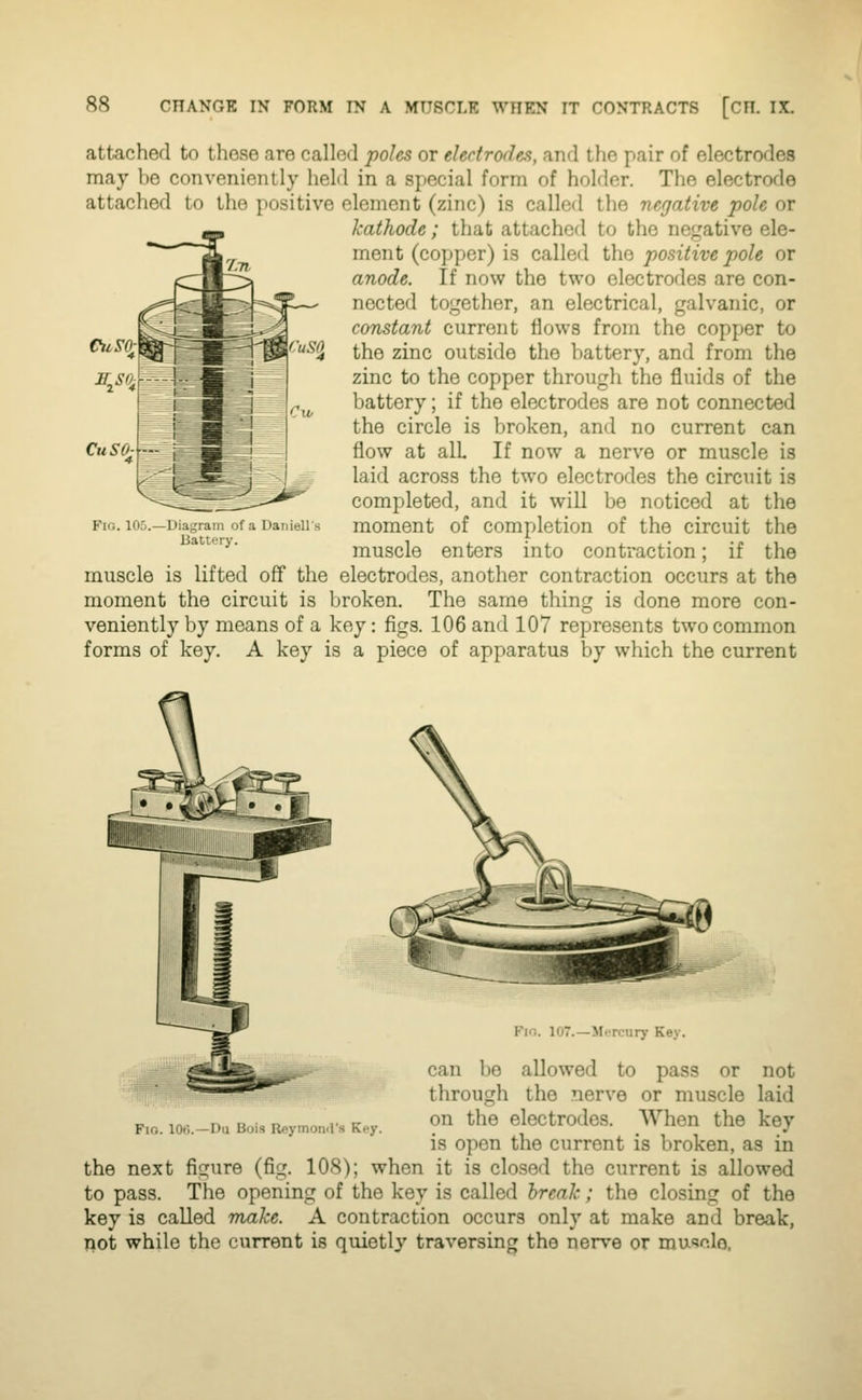 uSd attached to these are called poles or electrodes, and the pair of electrodes may be conveniently held in a special form of holder. The electrode attaclied to the positive element (zinc) is called the negative pole or kathode; that attached to the nefjative ele- ment (copper) is called the positive pole or anode. If now the two electrodes are con- nected together, an electrical, galvanic, or constant current Hows from the copper to the zinc outside the battery, and from the zinc to the copper through the fluids of the battery; if the electrodes are not connected the circle is broken, and no current can flow at all If now a nerve or muscle is laid across the two electrodes the circuit is completed, and it will be noticed at the moment of completion of the circuit the muscle enters into contraction; if the muscle is lifted off the electrodes, another contraction occurs at the moment the circuit is broken. The same thing is done more con- veniently by means of a key: figs. 106 and 107 represents two common forms of key. A key is a piece of apparatus by which the current CuSO: Fio. 105.—Diagram of a Uaniells Battery. Fio. 100.—Du Bois Reymoml's Key. Km. 107.—MiTcury Key. can be allowed to pass or not through the nerve or muscle laid on the electrodes. When the key is open the current is broken, as in the next figure (fig. 108); when it is closed the current is allowed to pass. The opening of the key is called break; the closing of the key is called Toake. A contraction occurs only at make and break, not while the current is quietl}' traversing the nerve or mu'*ole.