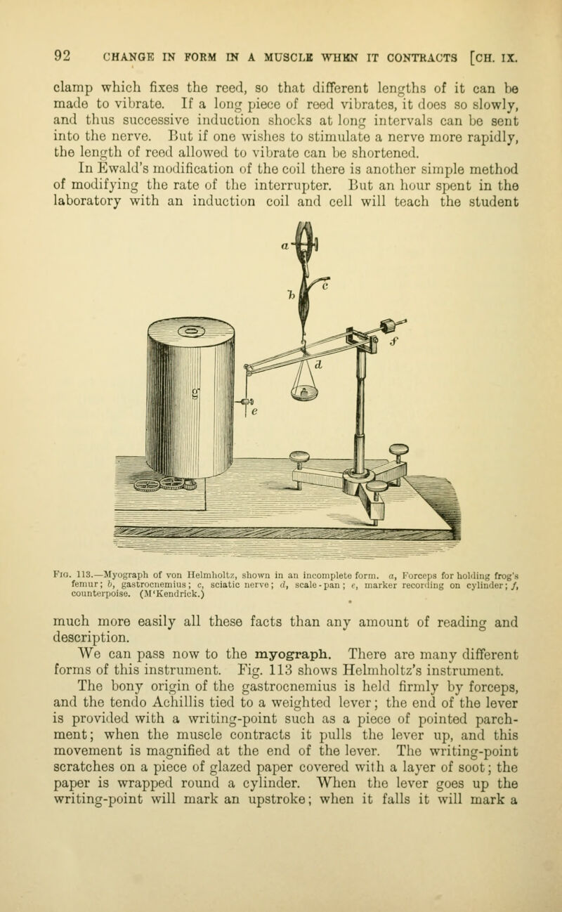 clamp which fixes the reed, so that different lengths of it can be made to vibrate. If a long piece of reed vibrates, it does so slowly, and thus successive induction shocks at long intervals can be sent into the nerve. But if one wishes to stimulate a nerve more rapidly, the length of reed allowed to vibrate can be shortened. In Ewald's modification of the coil there is another simple method of modifying the rate of the interrupter. But an hour spent in the laboratory with an induction coil and cell will teach the student Fio. 113.—Myograph of von Helmholtz, shown in an incomplete form, a, Forceps for hoMiiig frog's femur; h, gastrocnemius; c, sciatic nerve; d, scale-pan; e, marker recording on cylinder;/, counterpoise. (M'Kendrick.) much more easily all these facts than any amount of reading and description. We can pass now to the myograph. There are many different forms of this instrument. Fig. 113 shows Helmholtz's instrument. The bony origin of the gastrocnemius is held firmly by forceps, and the tendo Achillis tied to a weighted lever; the end of the lever is provided with a writing-point such as a piece of pointed parch- ment; when the muscle contracts it pulls the lever up, and this movement is magnified at the end of the lever. The writing-point scratches on a piece of glazed paper covered with a layer of soot; the paper is wrapped round a cylinder. When the lever goes up the writing-point will mark an upstroke; when it falls it will mark a