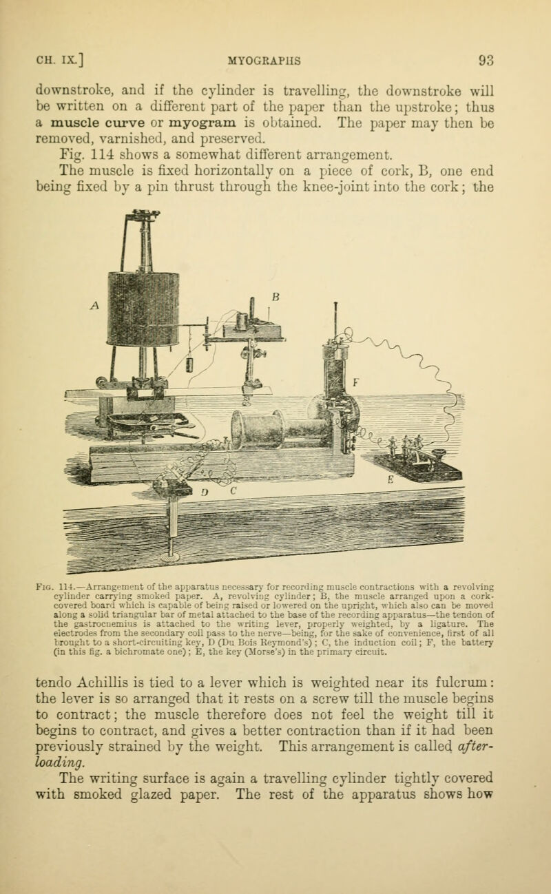 downstroke, and if the cylinder is travelling, the downstroke will be written on a different part of the paper than the upstroke; thus a muscle curve or myogram is obtained. The paper may then be removed, varnished, and preserved. Fig. 114 shows a somewhat different arrangement. The muscle is fixed horizontally on a piece of cork, B, one end being fixed by a pin thrust through the knee-joint into the cork; the Fig. 114.—Arrangement of the apparatus necessary for recorrling muscle contractions with a revohing cyliuder carrj'ing smoked paper. A, revolving cylinder; B, the muscle arranged upon a cork- covered board which is capable of being raised or lowered on the upright, which also can be moved along a solid triangular bar of metal attached to the base of the recording apparatus—the tendon of the gastrocnemius is attached to the writing lever, properly weighted, by a ligature. The electrodes from the secondary coil pass to the nerve—being, for the sake of convenience, first of all brought to a short-circuiting key, D (Du Bois Reymond's) ; C, the induction coil; F, the battery (in this fig. a bichromate one); E, the key (Morse's) in the primary circuit. tendo Achillis is tied to a lever which is weighted near its fulcrum: the lever is so arranged that it rests on a screw till the muscle begins to contract; the muscle therefore does not feel the weight till it begins to contract, and gives a better contraction than if it had been pre\iously strained by the weight. This arrangement is callecl after- loading. The writing surface is again a travelling cylinder tightly covered with smoked glazed paper. The rest of the apparatus shows how