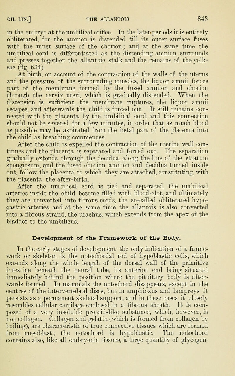in the embryo at the umbilical orifice. In the later* periods it is entirely obliterated, for the amnion is distended till its outer surface fuses with the inner surface of the chorion; and at the same time the umbilical cord is differentiated as the distending amnion surrounds and presses together the allantoic stalk and the remains of the yolk- sac (fig. 634). At birth, on account of the contraction of the walls of the uterus and the pressure of the surrounding muscles, the liquor amnii forces part of the membrane formed by the fused amnion and chorion through the cervix uteri, which is gradually distended. When the distension is sufficient, the membrane ruptures, the liquor amnii escapes, and afterwards the child is forced out. It still remains con- nected with the placenta by the umbilical cord, and this connection should not be severed for a few minutes, in order that as much blood as possible may be aspirated from the foetal part of the placenta into the child as breathing commences. After' the child is expelled the contraction of the uterine wall con- tinues and the placenta is separated and forced out. The separation gradually extends through the decidua, along the line of the stratum spongiosum, and the fused chorion amnion and decidua turned inside out, follow the placenta to which they are attached, constituting, with the placenta, the after-birth. After the umbilical cord is tied and separated, the umbilical arteries inside the child become filled with blood-clot, and ultimately they are converted into fibrous cords, the so-called obliterated hypo- gastric arteries, and at the same time the allantois is also converted into a fibrous strand, the urachus, which extends from the apex of the bladder to the umbilicus. Development of the Framework of the Body. In the early stages of development, the only indication of a frame- work or skeleton is the notochordal rod of hypoblastic cells, which extends along the whole length of the dorsal wall of the primitive intestine beneath the neural tube, its anterior end being situated immediately behind the position where the pituitary body is after- wards formed. In mammals the notochord disappears, except in the centres of the intervertebral discs, but in amphioxus and lampreys it persists as a permanent skeletal support, and in these cases it closely resembles cellular cartilage enclosed in a fibrous sheath. It is com- posed of a very insoluble proteid-like substance, which, however, is not collagen. Collagen and gelatin (which is formed from collagen by boiling), are characteristic of true connective tissues which are formed from mesoblast; the notochord is hypoblastic. The notochord contains also, like all embryonic tissues, a large quantity of glycogen.