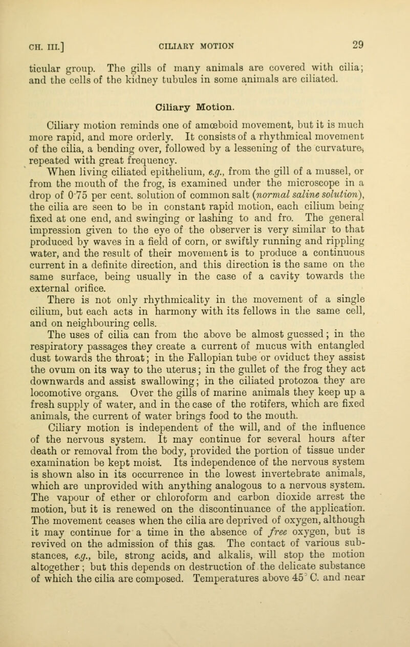 ticular group. The gills of many animals are covered with cilia; and the cells of the kidney tubules in some animals are ciliated. Ciliary Motion. Ciliary motion reminds one of amoeboid movement, but it is much more rapid, and more orderly. It consists of a rhythmical movement of the cilia, a bending over, followed by a lessening of the curvature, repeated with great frequency. When living ciliated epithelium, e.g., from the gill of a mussel, or from the mouth of the frog, is examined under the microscope in a drop of 075 per cent, solution of common salt {normal saline solution), the cilia are seen to be in constant rapid motion, each cilium being fixed at one end, and swinging or lashing to and fro. The general impression given to the eye of the observer is very similar to that produced by waves in a field of corn, or swiftly running and rippling water, and the result of their movement is to produce a continuous current in a definite direction, and this direction is the same on the same surface, being usually in the case of a cavity towards the external orifice. There is not only rhythmicality in the movement of a single cilium, but each acts in harmony with its fellows in the same cell, and on neighbouring cells. The uses of cilia can from the above be almost guessed; in the respiratory passages they create a current of mucus with entangled dust towards the throat; in the Fallopian tube or oviduct they assist the ovum on its way to the uterus; in the gullet of the frog they act downwards and assist swallowing; in the ciliated protozoa they are locomotive organs. Over the gills of marine animals they keep up a fresh supply of water, and in the case of the rotifers, which are fixed animals, the current of water brings food to the mouth. Ciliary motion is independent of the will, and of the influence of the nervous system. It may continue for several hours after death or removal from the body, provided the portion of tissue under examination be kept moist. Its independence of the nervous system is shown also in its occurrence in the lowest invertebrate animals, which are unprovided with anything analogous to a nervous system. The vapour of ether or chloroform and carbon dioxide arrest the motion, but it is renewed on the discontinuance of the application. The movement ceases when the cilia are deprived of oxygen, although it may continue for a time in the absence of free oxygen, but is revived on the admission of this gas. The contact of various sub- stances, e.g., bile, strong acids, and alkalis, will stop the motion altogether; but this depends on destruction of the delicate substance of which the cilia are composed. Temperatures above 45' C. and near