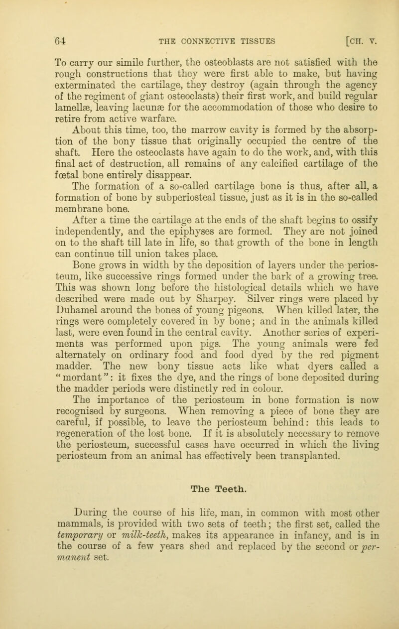 To carry our simile further, the osteoblasts are not satisfied with the rough constructions that they were first able to make, but having exterminated the cartilage, they destroy (again through the agency of the regiment of giant osteoclasts) their first work, and build regular lamellae, leaving lacunae for the accommodation of those who desire to retire from active warfare. About this time, too, the marrow cavity is formed by the absorp- tion of the bony tissue that originally occupied the centre of the shaft. Here the osteoclasts have again to do the work, and, with tins final act of destruction, all remains of any calcified cartilage of tho foetal bone entirely disappear. The formation of a so-called cartilage bone is thus, after all, a formation of bone by subperiosteal tissue, just as it is in the so-called membrane bone. After a time the cartilage at the ends of the shaft begins to ossify independently, and the epiphyses are formed. They are not joined on to the shaft till late in life, so that growth of the bone in length can continue till union takes place. Bone grows in width by the deposition of layers under the perios- teum, like successive rings formed under the bark of a growing tree. This was shown long before the liistological details which we have described were made out by Sharpey. Silver rings were placed by Duliamel around the bones of young pigeons. When killed later, the rings were completely covered in by bone; and in the animals killed last, were even found in the central ca%'ity. Another series of experi- ments was performed upon pigs. The young animals were fed alternately on ordinary food and food dyed by the red pigment madder. The new bony tissue acts like what dyers called a  mordant: it fixes the dye, and the rings of bone deposited during the madder periods were distinctly red in colour. The importance of the periosteum in bone formation is now recognised by surgeons. When removing a piece of bone they are careful, if possible, to leave the periosteum behind: this leads to regeneration of the lost bone. If it is absolutely necessary to remove the periosteum, successfid cases have occurred in which the living periosteum from an animal has effectively been transplanted. The Teeth. During the course of his life, man, in common with most other mammals, is provided with two sets of teeth; the first set, called the temporary or milk-teeth, makes its appearance in infancy, and is in the course of a few years shed and replaced by the second or per- manent set.