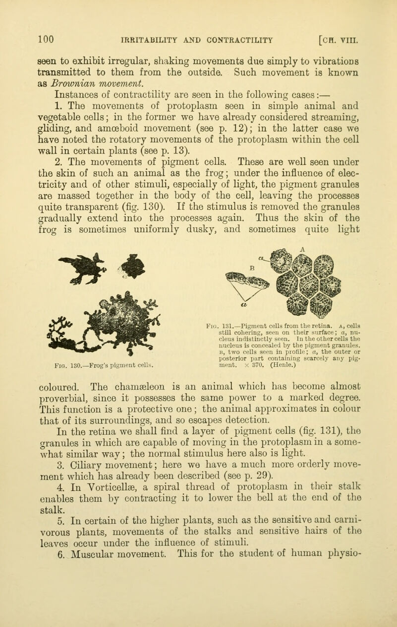 seen to exhibit irregular, shaking movements due simply to vibrations transmitted to them from the outside. Such movement is known as Brownian movement. Instances of contractility are seen in the following cases:— 1. The movements of protoplasm seen in simple animal and vegetable cells; in the former we have already considered streaming, gliding, and amoeboid movement (see p. 12); in the latter case we have noted the rotatory movements of the protoplasm within the cell wall in certain plants (see p. 13). 2. The movements of pigment cells. These are well seen under the skin of such an animal as the frog; under the influence of elec- tricity and of other stimuli, especially of light, the pigment granules are massed together in the body of the ceU, leaving the processes quite transparent (fig. 130). If the stimulus is removed the granules gradually extend into the processes again. Thus the skin of the frog is sometimes uniformly dusky, and sometimes quite light -n^ Fio. 130.—Frog's pigment cells. . 131.—Pigment cells from the retina, a, cells still cohering, seen on their surface; a, nu- cleus indistinctly seen. In the other cells the nucleus is concealed by the jjigment granules. B, two cells seen in profile; a, the outer or posterior part containing scarcely any pig- ment. X 370. (Henle.) coloured. The chamseleon is an animal which has become almost proverbial, since it possesses the same power to a marked degree. This function is a protective one ; the animal approximates in colour that of its surroundings, and so escapes detection. In the retina we shaU find a layer of pigment cells (fig. 131), the oranules in which are capable of moving in the protoplasm in a some- what similar way; the normal stimulus here also is light. 3. CiHary movement; here we have a much more orderly move- ment which has already been described (see p. 29). 4 In Vorticellse, a spiral thread of protoplasm in their stalk enables them by contracting it to lower the bell at the end of the stalk. 5. In certain of the higher plants, such as the sensitive and carni- vorous plants, movements of the stalks and sensitive hairs of the leaves occur under the influence of stimuli. 6. Muscular movement. This for the student of human physio-