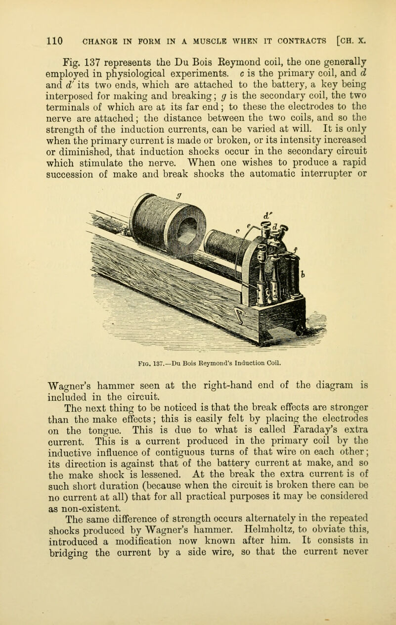 Fig. 137 represents the Du Bois Eeymond coil, the one generally employed in physiological experiments, c is the primary coil, and d and d' its two ends, which are attached to the battery, a key being interposed for making and breaking; g is the secondary coil, the two terminals of which are at its far end; to these the electrodes to the nerve are attached; the distance between the two coils, and so the strength of the induction currents, can be varied at will. It is only when the primary current is made or broken, or its intensity increased or diminished, that induction shocks occur in the secondary circuit which stimulate the nerve. When one wishes to produce a rapid succession of make and break shocks the automatic interrupter or Fio. 137.—Du Bois Reymond's Induction Coil. Wagner's hammer seen at the right-hand end of the diagram is included in the circuit. The next thing to be noticed is that the break effects are stronger than the make effects; this is easily felt by placing the electrodes on the tongue. This is due to what is called Faraday's extra current. This is a current produced in the primary coil by the inductive influence of contiguous turns of that wire on each other; its direction is against that of the battery current at make, and so the make shock is lessened. At the break the extra current is of such short duration (because when the circuit is broken there can be no current at all) that for all practical purposes it may be considered as non-existent. The same difference of strength occurs alternately in the repeated shocks produced by Wagner's hammer, Helmholtz, to obviate this, introduced a modification now known after him. It consists in bridging the current by a side wire, so that the current never