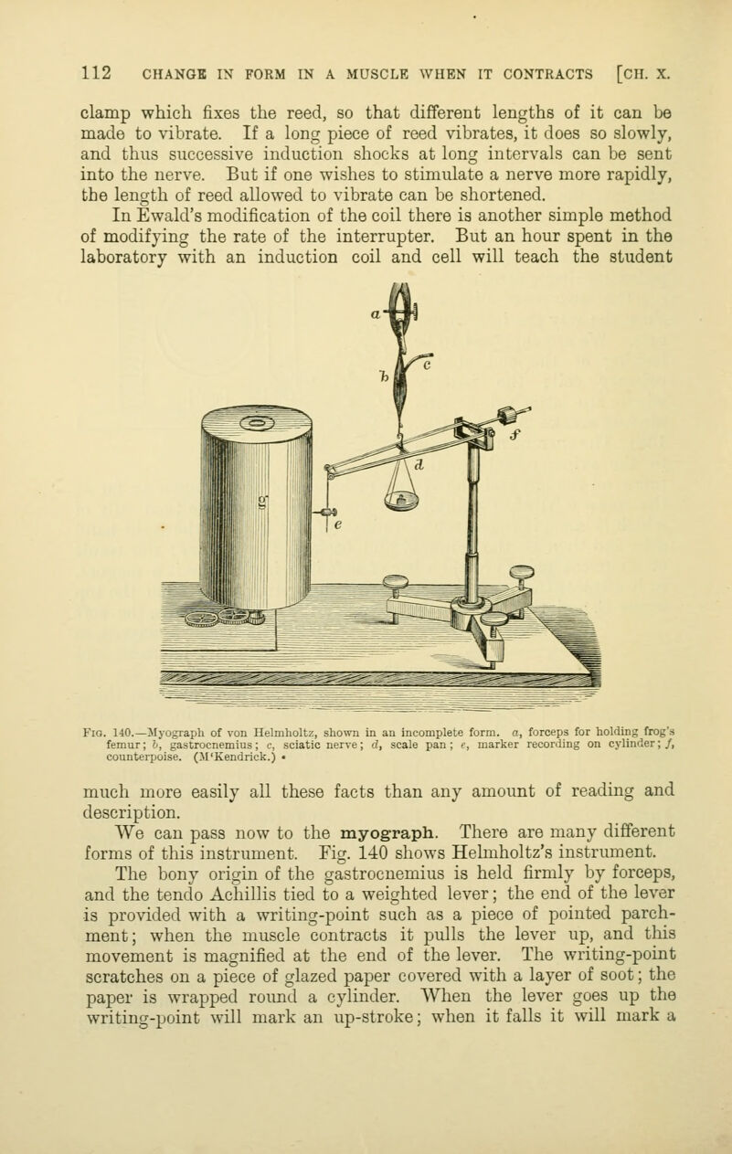 clamp which fixes the reed, so that different lengths of it can be made to vibrate. If a long piece of reed vibrates, it does so slowly, and thus successive induction shocks at long intervals can be sent into the nerve. But if one wishes to stimulate a nerve more rapidly, the length of reed allowed to vibrate can be shortened. In Ewald's modification of the coil there is another simple method of modifying the rate of the interrupter. But an hour spent in the laboratory with an induction coil and cell will teach the student Fig. 140.—Myograph of von Helmholtz, shown in an incomplete form, a, forceps for holding frog's femur; h, gastrocnemius; c, sciatic nerve; cf, scale pan; e, marker recording on cylinder;/, counterpoise. (M'Kendrick.) • much more easily all these facts than any amount of reading and description. We can pass now to the myograph. There are many different forms of this instrument. Fig. 140 shows Helmholtz's instrument. The bony origin of the gastrocnemius is held firmly by forceps, and the tendo Achillis tied to a weighted lever; the end of the lever is provided with a writing-point such as a piece of pointed parch- ment; when the muscle contracts it pulls the lever up, and this movement is magnified at the end of the lever. The writing-point scratches on a piece of glazed paper covered with a layer of soot; the paper is wrapped round a cylinder. When the lever goes up the writing-point will mark an up-stroke; when it falls it will mark a