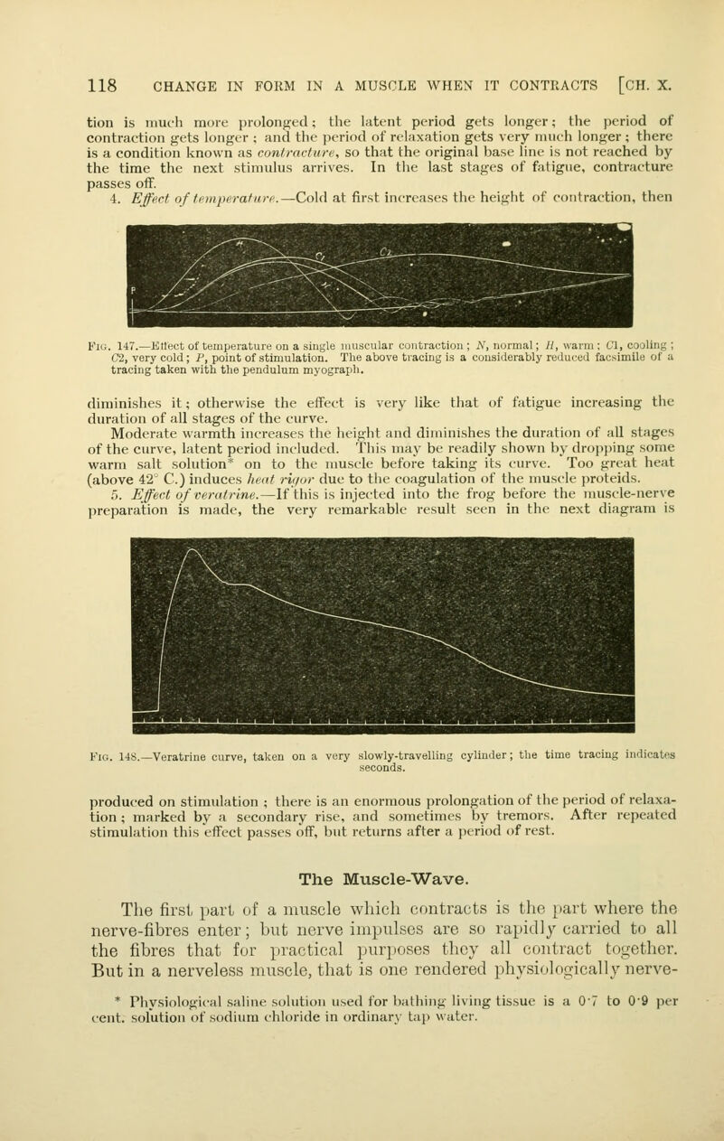 tion is much more prolonged; the latent period gets longer; the period of contraction gets longer ; and the period of relaxation gets very nuich longer ; there is a condition known as contracture, so that the original base line is not reached by the time the next stimulus arrives. In tiie last stages of fatigue, contracture passes off. 4. Effect of tfimperature..—Cold at first increases the height of contraction, then Fig. 147.—Kllect of temperature on a single muscular contraction ; N, normal; H, warm ; 61, cooling ; G'2, very cold; P, point of stimulation. The above tracing is a considerably reduced facsimile of a tracing taken with the pendulum myograph. diminishes it; otherwise the effect is very like that of fatigue increasing the duration of all stages of the curve. Moderate warmth increases the height and diminishes the duration of all stages of the curve, latent period included. This may be readily shown by dropjjing some warm salt solution* on to the nmscle before taking its curve. Too great heat (above 42 C.) induces heat riqor due to the coagulation of the muscle proteids. 5. Effect of veralrine.—If this is injected into the frog before the muscle-nerve preparation is made, the very remarkable result seen in the next diagram is Fig. 148.—Veratrine curve, taken on a very slowly-travelling cylinder; the time tracing indicates seconds. produced on stimulation ; there is an enormous prolongation of the period of relaxa- tion ; marked by a secondary rise, and sometimes by tremors. After repeated stimulation this effect passes off, but returns after a period of rest. The Muscle-Wave. The first pari of a nmscle which contracts is the part where the nerve-fibres enter; but nerve impulses are so rapidly carried to all the fibres that for practical purposes thoy all contract together. But in a nerveless muscle, that is one rendered physiologically nerve- * Physiological saline solution used for bathing living tissue is a 07 to 09 per cent, solution of sodium chloride in ordinary- tap water.