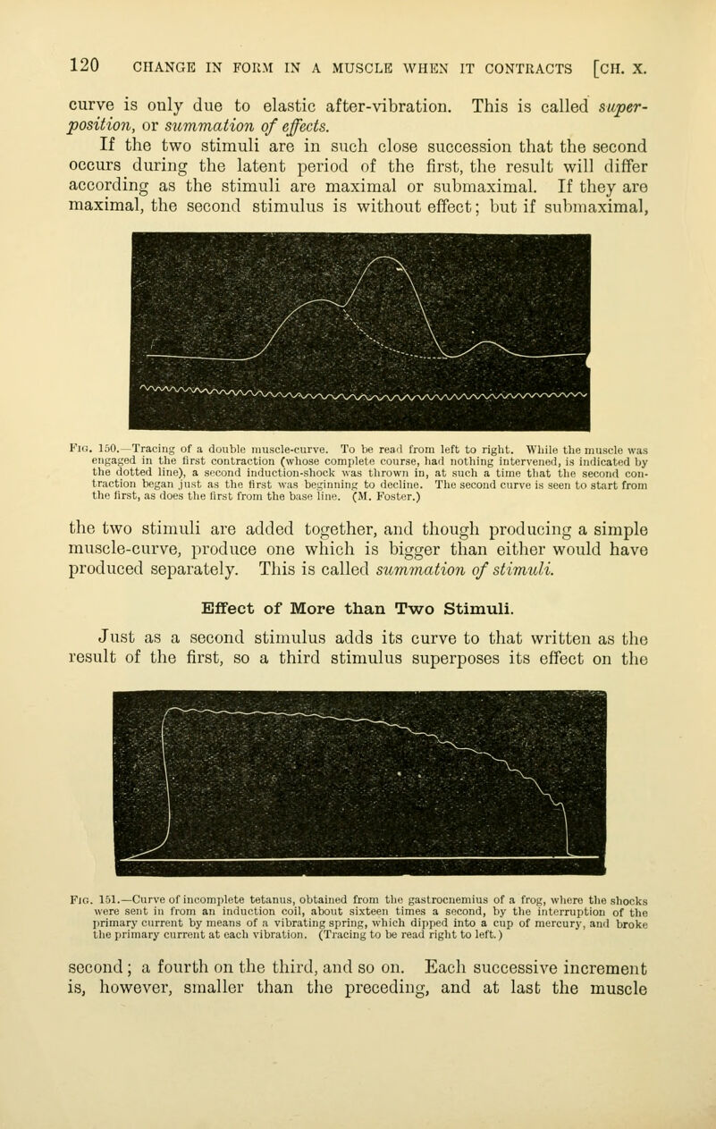 curve is only due to elastic after-vibration. This is called super- position, or summation of effects. If the two stimuli are in such close succession that the second occurs during the latent period of the first, the result will differ according as the stimuli are maximal or submaximal. If they are maximal, the second stimulus is without effect; but if submaximal, Fig. 150.—Tracing of a double muscle-curve. To be reail from left to right. Wliile the muscle was engaged in the first contraction (whose complete course, liad nothing intervened, is indicated by the dotted line), a second induction-shock was thrown in, at such a time that the second con- traction began just as the first was beginning to decline. The second curve is seen to start from the first, as does the lirst from the base line. (M. Foster.) the two stimuli are added together, and though producing a simple muscle-curve, produce one which is bigger than either would have produced separately. This is called summation of stimuli. Effect of More than Two Stimuli. Just as a second stimulus adds its curve to that written as the result of the first, so a third stimulus superposes its effect on the Fic. 151.—Curve of incomplete tetanus, obtained from the gastrocnemius of a frog, where the shocks were sent in from an induction coil, about sixteen times a second, by the interruption of the primary current by means of a vibrating spring, which dipped into a cup of mercury, and broke the primary current at each vibration. (Tracing to be read right to left.) second ; a fourth on the third, and so on. Each successive increment is, however, smaller than the preceding, and at last the muscle