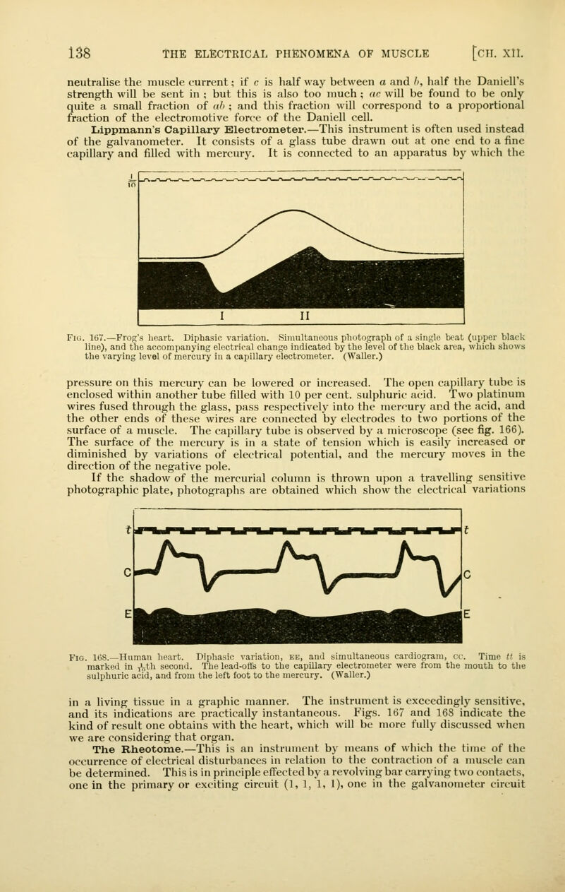 neutralise the muscle current; if (• is half way between a and l>, half the Daniell's strength Mill be sent in ; but this is also too much ; ac will be found to be only quite a small fraction of al> ; and this fraction will c-orrespond to a proportional fraction of the electromotive force of the Daniell cell. Lippmann's Capillary Electrometer.—This instrument is often used instead of the galvanometer. It consists of a glass tube drawn out at one end to a fine capillary and filled with mercury. It is connected to an apparatus by which the Fig. 167.—Frog's heart. Diphasic variation. Simultaneous photograph of a single beat (upper black line), and the accompanying electrical change indicated by the level of the black area, which shows the varying level of mercury in a capillary electrometer. (Waller.) pressure on this mercury can be lowered or increased. The open capillary tube is enclosed within another tube filled with 10 per cent, sulphuric acid. Two platinum wires fused through the glass, pass respectively into the mercury and the acid, and the other ends of these wires are connected by electrodes to two portions of the surface of a muscle. The capillary tube is observed by a microscope (see fig. 166). The surface of the mercury is in a state of tension which is easily increased or diminished by variations of electrical potential, and the mercury moves in the direction of the negative pole. If the shadow of the mercurial column is thrown upon a travelling sensitive photographic plate, photographs are obtained which show the electrical variations Fig. l(iS.—Human heart. Bipliasie variation, ee, and simultaneous cardiogram, cg. Time it is marked in iVitli second. The lead-otl's to the capillary electrometer were from the mouth to the sulphuric acid, and from the left foot to the mercury. (Waller.) in a living tissue in a graphic manner. The instrument is exceedingly sensitive, and its indications are practically instantaneous. Figs. 167 and 168 indicate the kind of result one obtains with the heart, which will be more fully discussed when we are considering that organ. The Rheotome.—This is an instrument by means of which the time of the occurrence of electrical disturbances in relation to the contraction of a nmscle can be determined. This is in principle effected by a revolving bar carrying two contacts, one in the primary or exciting circuit (1, 1, 1, 1), one in the galvanometer circuit