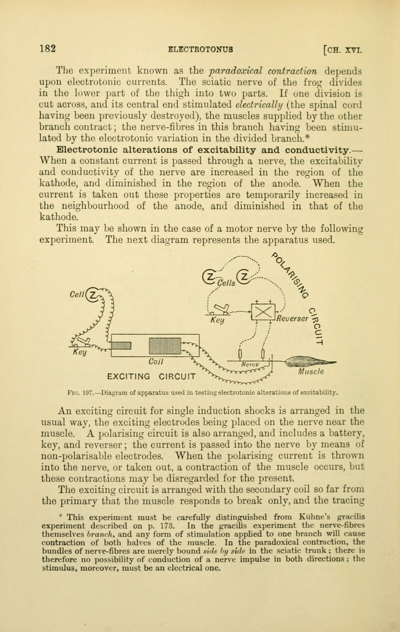 The experiment known as the paradoxical contraction depends upon electrotonie currents. The sciatic nerve of the frog divides in the lower part of the thigh into two parts. If one division is cut across, and its central end stimulated electrically (the spinal cord having been previously destroyed), the muscles supplied by the other branch contract; the nerve-fibres in this branch having been stimu- lated by the electrotonie variation in the divided branch.* Electrotonie alterations of excitability and conductivity.— When a constant current is passed through a nerve, the excitability and conductivity of the nerve are increased in the region of the kathode, and diminished in the region of the anode. When the current is taken out these properties are temporarily increased in the neighbourhood of the anode, and diminished in that of the kathode. This may be shown in the case of a motor nerve by the following experiment. The next diagram represents the apparatus used. /<>_ ^dellJ^'---.. \ Coil EXCITING CIRCUIT F^G. 197.—Diagram of apparatus used in testing electrotonie alterations of excitability. An exciting circuit for single induction shocks is arranged in the usual way, the exciting electrodes being placed on the nerve near the muscle. A polarising circuit is also arranged, and includes a battery, key, and reverser; the current is passed into the nerve by means of non-polarisable electrodes. When the polarising current is thrown into the nerve, or taken out, a contraction of the muscle occurs, but these contractions may be disregarded for the present. The exciting circuit is arranged with the secondary coil so far from the primary that the muscle responds to break only, and the tracing * This experiment must be carefully distinguished from Kiihne's gracilis experiment described on p. 173. In the gracilis experiment the nerve-fibres themselves branch, and any form of stimulation applied to one branch will cause contraction of both halves of the muscle. In the paradoxical contraction, the bundles of nerve-fibres are merely bound side hy side in the sciatic trunk ; there is therefore no possibility of conduction of a nerve impulse in both directions; the stimulus, moreover, must be an electrical one.