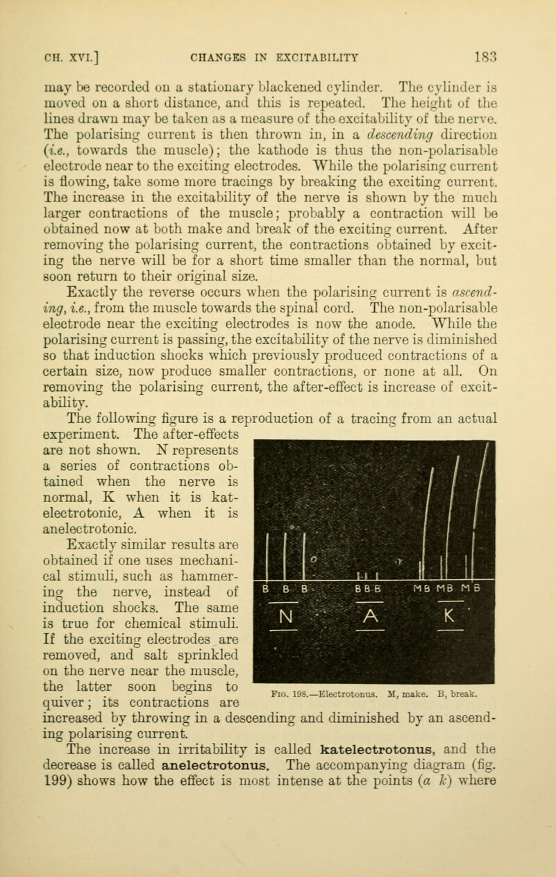 may be recorded ou a stationary blackened cylinder. The cylinder is moved on a short distance, and this is repeated. The height of the lines drawn may be taken as a measure of the excitability of the nerve. The polarising current is then thrown in, in a descending direction {i.e., towards the muscle); the kathode is thus the non-polarisable electrode near to the exciting electrodes. While the polarising current is flowing, take some more tracings by breaking the exciting current. The increase in the excitability of the nerve is shown by the much larger contractions of the muscle; probably a contraction will be obtained now at both make and break of the exciting current. After removing the polarising current, the contractions obtained by excit- ing the nerve will be for a short time smaller than the normal, but soon return to their original size. Exactly the reverse occurs when the polarising current is ascend- ing, i.e., from the muscle towards the spinal cord. The non-polarisable electrode near the exciting electrodes is now the anode. While the polarising current is passing, the excitability of the nerve is diminished so that induction shocks which previously produced contractions of a certain size, now produce smaller contractions, or none at all. On remo\T.ng the polarising current, the after-effect is increase of excit- ability. The following figure is a reproduction of a tracing from an actual experiment. The after-effects are not shown. N represents a series of contractions ob- tained when the nerve is normal, K when it is kat- electrotonic, A when it is anelectrotonic. Exactly similar results are obtained if one uses mechani- cal stimuli, such as hammer- ing the nerve, instead of induction shocks. The same is true for chemical stimuli. If the exciting electrodes are removed, and salt sprinkled on the nerve near the muscle, the latter soon begins to quiver; its contractions are increased by throwing in a descending and diminished by an ascend- ing polarising current. The increase in irritability is called katelectrotoniis, and the decrease is called anelectrotonus. The accompanying diagram (fig. 199) shows how the effect is most intense at the points (a k) where Fig. 198.—Electrotonos. il, make. B, break.