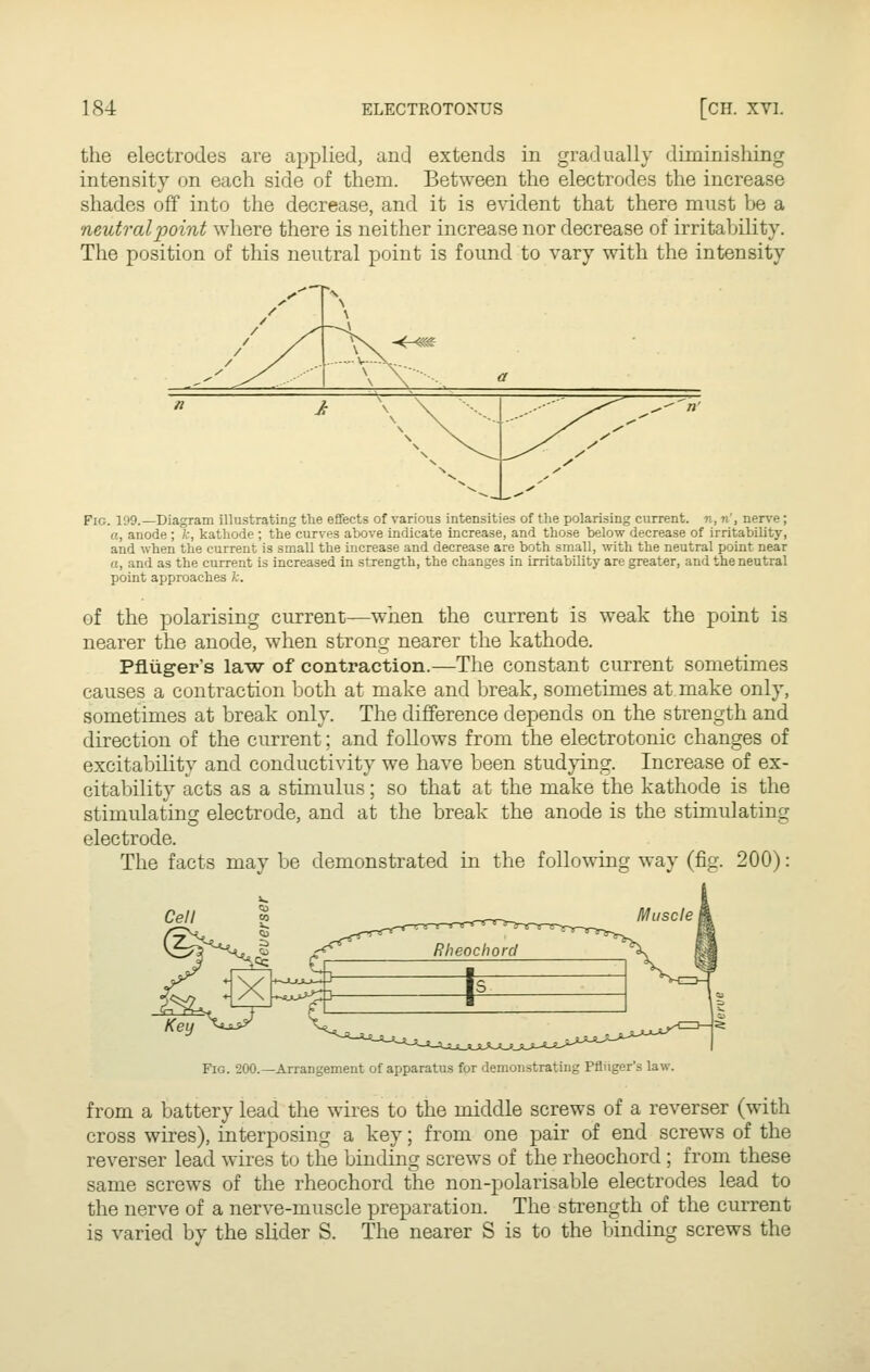 the electrodes are applied, and extends in gradually diminishing intensity on each side of them. Between the electrodes the increase shades off into the decrease, and it is evident that there must be a neutral point where there is neither increase nor decrease of irritability. The position of this neutral point is found to vary with the intensity < «<g if Fig. 199.—Diagram illustrating the effects of various intensities of the polarising current, n, n', nerve; a, anode ; k, kathode ; the curves above indicate increase, and those below decrease of irritability, and when the current is small the increase and decrease are both small, with the neutral point near a, and as the current is increased in strength, the changes in irritability are greater, and the neutral point approaches k. of the polarising current—when the current is weak the point is nearer the anode, when stronf^ nearer the kathode. Pfliiger's law of contraction.—The constant current sometimes causes a contraction both at make and break, sometimes at make only, sometimes at break only. The difference depends on the strength and direction of the current; and follows from the electrotonic changes of excitability and conductivity we have been studjing. Increase of ex- citability acts as a stimulus; so that at the make the kathode is the stimulating electrode, and at the break the anode is the stimulating electrode. The facts may be demonstrated in the following way (fig. 200): Key ^jji^ Fig. 200.—Arrangement of apparatus for demonstrating Pfliiger's law. from a battery lead the wires to the middle screws of a reverser (with cross wires), interposing a key; from one pair of end screws of the reverser lead wires to the binding screws of the rheochord ; from these same screws of the rheochord the non-polarisable electrodes lead to the nerve of a nerve-muscle preparation. The strength of the current is varied by the slider S. The nearer S is to the binding screws the