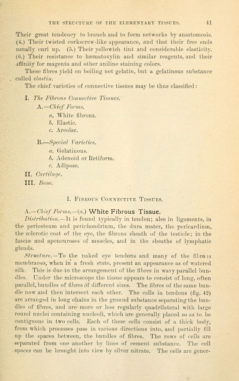 Their great tendency to branch aud to form networks by anastomosis. (4.) Their twisted corkscrew-like appearance, and that their free ends usually curl up. (5.) Their yellowish tint and considerable elasticity. (6.) 'Their resistance to hematoxylin and similar reagents, and their affinity for magenta and other aniline staining colors. These fibres yield on boiling not gelatin, but a gelatinous substance called elastin. The chief varieties of connective tissues may be thus classified: I. The Fibro2(s Connective Tissues. A.—Chief Forms, a. White fibrous. h. Elastic. c. Areolar. B.—S'pecial Varieties. a. Gelatinous. b. Adenoid or Eetiform. c. Adipose. II. Cartilage. IIL Bone. I. Fibrous Con'nective Tissues. A.—Chief Forms.—(a.) White Fibrous Tissue. Distribution.—It is found typically in tendon; also in ligaments, in the periosteum and perichondrium, the dura mater, the pericardium, the sclerotic coat of the eye, the fibrous sheath of the testicle; in the fascife and aponeuroses of muscles, aud in the sheaths of lymphatic glands. Structure.—To the naked eye tendons and many of the fibrous membranes, when in a fresh state, present an appearance as of watered silk. This is due to the arrangement of the fibres in wavy parallel bun- dles. Under the microscope the tissue appears to consist of long, often parallel, bundles of fibres (if different sizes. The fibres of the same bun- dle now and then intersect each other. The cells in tendons (fig. 42) are arranged in long chains in the ground substance separating the bun- dles of fibres, and are more or less regularly quadrilateral with large round nuclei containing nucleoli, which are generally placed so as to be contiguous in two cells. Each of these cells consist of a thick body, from which processes pass in various directions into, and partially fill up the spaces between, the bundles of fibres. The rows of cells are separated from one another by lines of cement substance. The cell spaces can be brought into view by silver nitrate. The cells are gener-