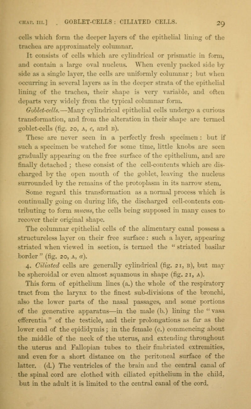 <H.vr. in.] . I r-CELLS : CILIATED CELLfi cells which form the s of the epithelial lining of the trachea are approximately columnar. I: t* cells which are cylindrical or prismatic in form, and contain a large oval nucleus. When evenly packed Bide by side as a sins uniformly columnar: hut when occurring in several layer- as in the d< strata of the epithelial lining of the trachea, their shape - \ ry variable, an<l departs very widely from the typical columnar form. .—Many cylindrical epithelial cells and _ curious transformation, and from the alteration in their shape are termed _ let-cell- _._:. . md b). These are never seen in a perfectly fresh specimen : but if such a specimen be watched for some time, little kn<>b> are gradually appearing on the free surface of the epithelium, and are finally detached : these consist of the cell-contents which ar charged by the open mouth of the goblet, leaving the nucleus surrounded by the remains of the protoplasm in its narrow stem. _ L this transformation as a normal process which is continually going on during life, the discharged cell-contents con- tributing to form mucus, the cells being supposed in many - - - recover their original shape. The columnar epithelial cells of the alimentary canal pose structureless layer on their free surface : such a layer, appearing striated when viewed in section, is termed the ;* striated basilar border  (tig. 20, a. 4. ( led cells are generally cylindrical (fig. 21. b), but may r even almost squamous in shape (liu'. 21. This form of epithelium lines (a.) the whole of the respiratory tract from the larynx to the finest sub-divisions of the bronchi, -lie lower parts of the nasal pa— ges, and some portions of the generative apparatus—in the male (b.) lining tl efferentia  of the testicle, and their prol stations at - the lower end of the epididymis : in the feinak .nmencinu- about the middle of the neck of the uterus, and extending throughout the uterus and Fallopian tubes to their fimbriated extremities, and even for a short distance on the peritoneal surface of the latter, (d.) The ventricles of the brain and the central canal of spina] cord are clothed with ciliated epithelium in the child, but in the adult it is limited to the central canal of the cord.