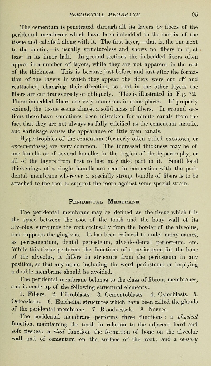 The cementum is penetrated through all its layers by fibers of the peridental membrane which have been imbedded in the matrix of the tissue and calcified along with it. The first layer,—that is, the one next to the dentin,—is usually structureless and shows no fibers in it, at least in its inner half. In ground sections the imbedded fibers often appear in a number of layers, while they are not apparent in the rest of the thickness. This is because just before and just after the forma- tion of the layers in which they appear the fibers were cut off and reattached, changing their direction, so that in the other layers the fibers are cut transversely or obliquely. This is illustrated in Fig, 72. These imbedded fibers are very numerous in some places. If properly stained, the tissue seems almost a solid mass of fibers. In ground sec- tions these have sometimes been mistaken for minute canals from the fact that they are not always as fully calcified as the cementum matrix, and shrinkage causes the appearance of little open canals. Hypertrophies of the cementum (formerly often called exostoses, or excementoses) are very common. The increased thickness may be of one lamella or of several lamellae in the region of the hypertrophy, or all of the layers from first to last may take part in it. Small local thickenings of a single lamella are seen in connection with the peri- dental membrane wherever a specially strong bundle of fibers is to be attached to the root to support the tooth against some special strain. Peridental Membrane. The peridental membrane may be defined as the tissue which fills the space between the root of the tooth and the bony wall of its alveolus, surrounds the root occlusally from the border of the alveolus, and supports the gingivus. It has been referred to under many names, as pericementum, dental periosteum, alveolo-dental periosteum, etc. While this tissue performs the functions of a periosteum for the bone of the alveolus, it differs in structure from the periosteum in any position, so that any name including the word periosteum or implying a double membrane should be avoided. The peridental membrane belongs to the class of fibrous membranes, and is made up of the following structural elements: 1. Fibers. 2. Fibroblasts. 3. Cementoblasts. 4. Osteoblasts. 5. Osteoclasts. 6. Epithelial structures which have been called the glands of the peridental membrane. 7. Bloodvessels. 8. Nerves. The peridental membrane performs three functions : a physical function, maintaining the tooth in relation to the adjacent hard and soft tissues; a vital function, the formation of bone on the alveolar wall and of cementum on the surface of the root; and a sensory