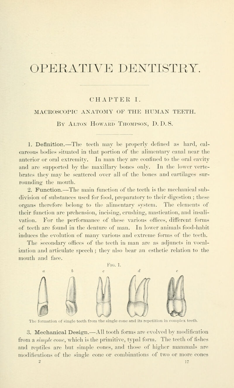 OPERATIVE DENTISTRY. CHAPTER I. MACROSCOPIC ANATOMY OF THE HUMAN TEETH, By Alton Howard Thompson, D. D, S. 1. Definition,—The teeth may be properly defined as hard, cal- careous bodies situated in that portion of the alimentary canal near the anterior or oral extremity. In man they are confined to the oral cavity and are supported by the maxillary bones only. In the lower verte- brates they may be scattered over all of the bones and cartilages sur- rounding the mouth. 2, Function.—The main function of the teeth is the mechanical sub- division of substances used for food, preparatory to their digestion ; these orirans therefore beiona: to the alimentarv svstem. The elements of their function are prehension, incising, crushing, mastication, and insali- vation. For the performance of these various offices, different forms of teeth are found in the denture of man. In lower animals food-habit induces the evolution of many various and extreme forms of the teeth. The secondary offices of the teeth in man are as adjuncts in vocal- ization and articulate speech; they also bear an esthetic relation to the mouth and face. Fig. 1. Il-if I I The formation of single teeth from the single cone and its repetition in complex teeth. 3, Mechanical Design.—All tooth forms are evolved by modification from a simple cone, which is the primitive, typal form. The teeth of fishes and reptiles are but simple cones, and those of higher mammals are modifications of the sinsfle cone or combinations of two or more cones