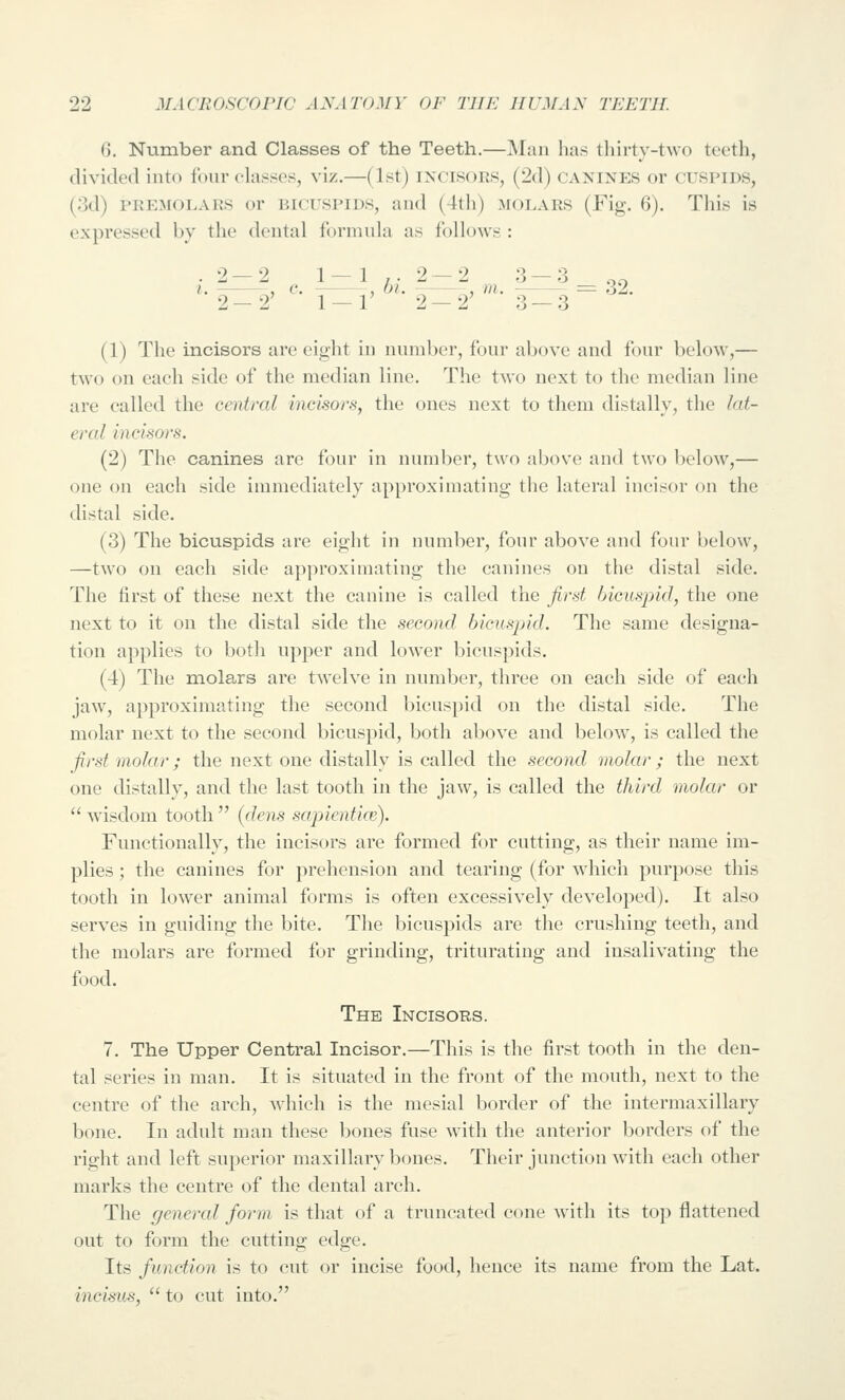 6. Number and Classes of the Teeth.—Man has tliirty-tAvo teeth, divided into four clai^ses, viz.—(1st) I^X'LSOR.s, (2d) canines or cuspids, (3d) PiiE^roLARS or bicuspids, and (4th) molars (Fig. 6). Tliis is expressed by the dental formula as follows : 2—2 1— 1 ,. 2-2 3 — 3 , c. ,01. — , m. 2—2' 1 — 1' 2—2' 3 — 3 (1) The incisors are eight in number, four above and four below,— two on each side of the median line. The two next to the median line are called the central inckors, the ones next to them distally, the lat- eral incisors. (2) The canines arc four in number, two above and two below,— one on each side immediately approximating the lateral incisor on the distal side. (3) The bicuspids are eight in number, four above and four below, —two on each side approximating the canines on the distal side. The first of these next the canine is called the first blcusjyid, the one next to it on the distal side the second bicuspid. The same designa- tion applies to both upper and lower bicuspids. (4) The molars are twelve in number, three on each side of each jaw, approximating the second bicuspid on the distal side. The molar next to the second bicuspid, both above and below, is called the first molar; the next one distally is called the second molar ; the next one distally, and the last tooth in the jaw, is called the third molar or  wisdom tooth  {dens sapiential). Functionally, the incisors are formed for cutting, as their name im- plies ; the canines for prehension and tearing (for which purpose this tooth in lower animal forms is often excessively developed). It also serves in guiding the bite. The bicuspids are the crushing teeth, and the molars are formed for grinding, triturating and insalivating the food. The Incisors. 7. The Upper Central Incisor.—This is the first tooth in the den- tal series in man. It is situated in the front of the mouth, next to the centre of the arch, which is the mesial border of the intermaxillary bone. In adult man these bones fuse with the anterior borders of the right and left superior maxillary bones. Their junction with each other marks the centre of the dental arch. The general form is that of a truncated cone with its top flattened out to form the cutting edge. Its function is to cut or incise food, hence its name from the Lat. incisus,  to cut into.