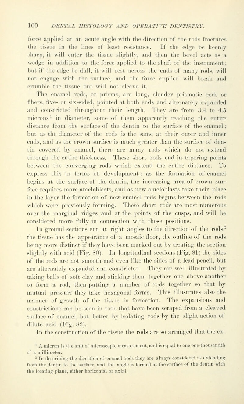 force applied at an acute angle with the direction of the rods fractures the tissue in the lines of least resistance. If the edge be keenly shar]), it will enter the tissue slightly, and then th(! bevel acts as a wedge in addition to the force applied to the shaft of the instrument; but if the edge be dull, it will rest across the ends of many rods, will not engage with the surface, and the force applied will break and crumble the tissue but will not cleave it. The enamel rods, or prisms, are long, slender prismatic rods or fibers, five- or six-sided, pointed at both ends and alternately expanded and constricted throughout their length. They are from 3.4 to 4.5 microns^ in diameter, some of them apparently reaching the entire distance from the surface of the dentin to the surface of the enamel ; but as the diameter of the rods is the same at their outer and inner ends, and as the crown surface is much greater than the surface of den- tin covered by enamel, there are many rods which do not extend through the entire thickness. These short rods end in tapering points between the converging rods which extend the entire distance. To express this in terms of development: as the formation of enamel begins at the surface of the dentin, the increasing area of crown sur- face requires more ameloblasts, and as new ameloblasts take their place in the layer the formation of new enamel rods begins between the rods which were previously forming. These short rods are most numerous over the marginal ridges and at the points of the cusps, and will be considered more fully in connection with those positions. In ground sections cut at right angles to the direction of the rods ^ the tissue has the appearance of a mosaic floor, the outline of the rods being more distinct if they have been marked out by treating the section slightly with a(nd (Fig. 80). In longitudinal sections (Fig. 81) the sides of the rods are not smooth and even like the sides of a lead pencil, but are alternately expanded and constricted. They are well illustrated by taking balls of soft clay and sticking them together one above another to form a rod, then putting a number of rods together so that by mutual pressure they take hexagonal forms. This illustrates also the manner of growth of the tissue in formation. The expansions and constrictions can be seen in rods that have been scraped from a cleaved surface of enamel, but better by isolating rods by the slight action of dilute acid (Fig. 82). In the construction of the tissue the rods are so arranged that the ex- ' A micron is tlie unit of microscopic measurement, and is equal to one one-thousandtli of a millimeter. ^ In describino; the direction of enamel rods they are always considered as extending from the dentin to the surface, and the angle is formed at the surface of the dentin with the locating plane, either horizontal or axial.
