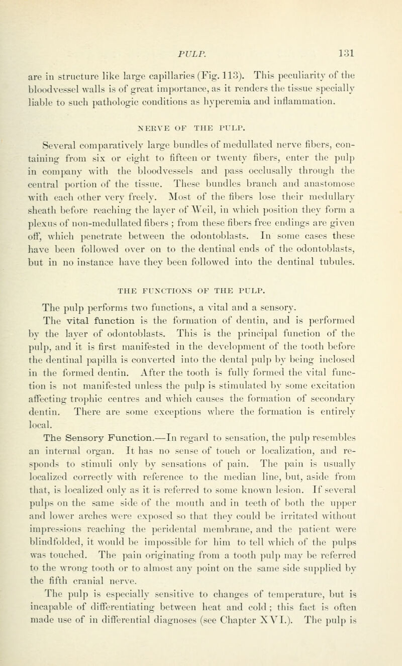 are in structure like large capillaries (Fig. 113). This peculiarity of the bloodvessel walls is of great importance, as it renders the tissue specially liable to such pathologic conditions as hyperemia and inflammation. XEEVE OF THE TULP. Several comparatively large bundles of medullated nerve fibers, con- taining from six or eight to fifteen or twenty fibers, enter the pulp in com pan V with the bloodvessels and pass occlusally through the central j)ortion of the tissue. These bundles branch and anastomose with each other very freely. Most of the fibers lose their medullary sheath before reaeliing the layer of AVeil, in which position they form a plexus of non-nieduUated fibers ; from these fibers free endings are given off, which penetrate between the odontoblasts. In some cases these have been followed over on to the dentinal ends of tiie odontoblasts, but in no instance have they been followed into the dentinal tubules. THE FUNCTIONS OF THE PULP. The pulp performs two functions, a vital and a sensory. The vital function is the formation of dentin, and is performed bv the layer of odontoblasts. This is the principal function of the pulp, and it is first manifested in the development of the tooth before the dentinal papilla is converted into the dental jnilp by being inclosed in the formed dentin. After the tooth is fully formed the vital func- tion is not manifested unless the pulp is stimulated by some excitation affecting trophic centres and which causes the formation of secondary dentin. There are some exceptions where the formation is entirely local. The Sensory Function.—In regard to sensation, the pulp resembles an internal organ. It has no sense of touch or localization, and re- sponds to stimuli only by sensations of pain. The pain is usually localized correctly with reference to the median line, but, aside from that, is localized only as it is referred to some known lesion. If several pulps on the same side of the mouth and in teeth of both the npj)er and lower arches were exposed so that they could be irritated without im])n'.-sions reaching the peridental membrane, and the patient were blindfolded, it would l)e impossible for him to tell which of the pulps was touched. The \x\\\\ originating from a tooth pulp may be referred to the wrong tooth or to almost any point on the same side supplied by the fifth cranial nerve. The pulp is especially sensitive to changes of temperature, but is incapable of differentiating between heat and cold ; this fact is often made use of in differential diagnoses (see Chapter XVI.). The pulj) is