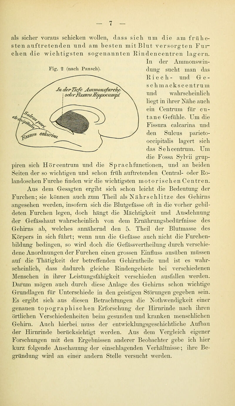 Fig. 2 (nacli Pansch). als sicher voraus schicken wollen, dass sich um die am frühe- sten auftretenden und am besten mit Blut versorgten Fui- chen die wichtigsten sogenannten Rindencentren lagern. In der AmmonsAvin- dung sucht man das Riech- und Gr e - s c h m a ck s c e nt ru m und wahrscheinlich liegt in ihi'er Nähe auch ein Centrum für cu- tane Grefühle. Um die Fissura calcarina und den Sulcus parieto- occipitalis lagert sich das Sehcentrum. Um die Fossa Sylvii grup- piren sich Hörcentrum und die Sprachfunctionen, und an beiden Seiten der so Avichtigen und schon früh auftretenden Centi'al- oder Ro- landoschen Furche finden wir die wichtigsten motorischenCentren. Aus dem Gesagten ergibt sich schon leicht die Bedeutung der Fm'chen; sie können auch zum Theil als Nährschlitze des Grehirns angesehen werden, insofern sich die Blutgefässe oft in die vorher gebil- deten Fm'chen legen, doch hängt die Mächtigkeit und Ausdehnung der Gefässhaut wahrscheinlich von dem Ernährungsbedürfnisse des Gehirns ab, welches annähernd den 5. Theil der Blutmasse des Körpers in sich führt; wenn nun die Gefässe auch nicht die Fm'chen- bildung bedingen, so wird doch die Gefässvertheilung durch verschie- dene Anordnungen der Furchen einen grossen Einfluss ausüben müssen auf die Thätigkeit der betreffenden Gehirntheile und ist es wahi'- scheinlich, dass dadm'ch gleiche Rindengebiete bei verschiedenen Menschen in ihrer Leistungsfähigkeit verschieden ausfallen werden. Darum mögen auch durch diese Anlage des Gehirns schon wichtige Grundlagen für Unterschiede in den geistigen Störungen gegeben sein. Es ergibt sich aus diesen Betrachtungen die Nothwendigkeit einer genauen topographischen Erforschung der Hirnrinde nach ihren örtlichen Verschiedenheiten beim gesunden und kranken menschlichen Gehirn. Auch hierbei muss der entwicldungsgeschichtliche AuflDau der Hhnrinde berücksichtigt werden. Aus dem Vergleich eigener Forschungen mit den Ergebnissen anderer Beobachter gebe ich hier kurz folgende Anschauung der einschlagenden Verhältnisse; ihre Be- gründung wird an einer andern Stelle versucht werden.