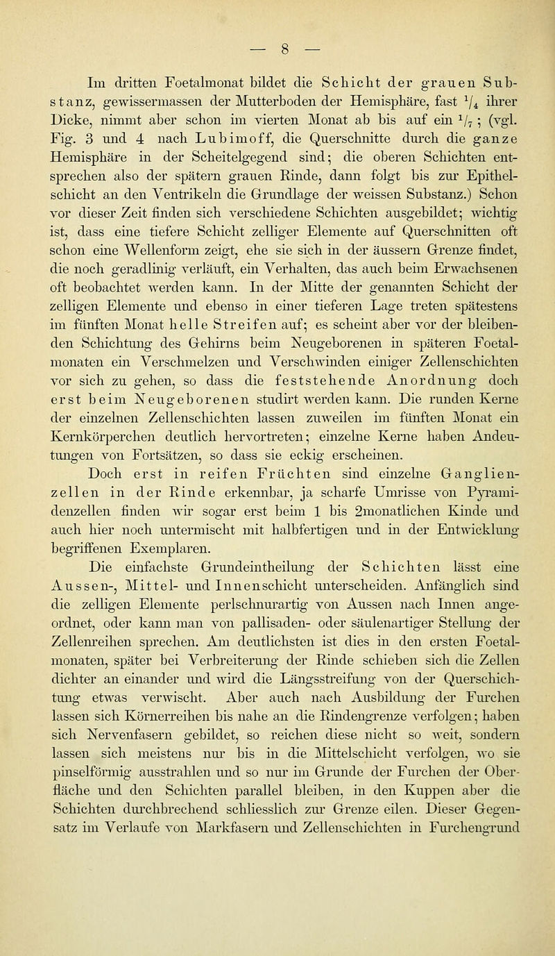 Im dritten Foetalmonat bildet die Schicht der grauen Sub- stanz, gewissermassen der Mutterboden der Hemisphäre, fast ^j^^ ihrer Dicke, nimmt aber schon im vierten Monat ab bis auf ein ^/^ ; (vgl. Fig. 3 und 4 nach Lubimoff, die Querschnitte durch die ganze Hemisphäre in der Scheitelgegend sind; die oberen Schichten ent- sprechen also der spätem grauen Rinde, dann folgt bis zur Epithel- schicht an den Ventrikeln die Grundlage der weissen Substanz.) Schon vor dieser Zeit finden sich verschiedene Schichten ausgebildet; wichtig ist, dass eine tiefere Schicht zelliger Elemente auf Quersclmitten oft schon eine Wellenform zeigt, ehe sie sich in der äussern Grrenze findet, die noch geradlinig verläuft, ein Verhalten, das auch beim Erwachsenen oft beobachtet werden kann. In der Mitte der genannten Schicht der zelligen Elemente und ebenso in einer tieferen Lage treten spätestens im fünften Monat helle Streifen auf; es scheint aber vor der bleiben- den Schichtung des Grehirns beim Neugeborenen in späteren Foetal- monaten ein Verschmelzen und Verschwinden einiger Zellenschichten vor sich zu gehen, so dass die feststehende Anordnung doch erst beim Neugeborenen studnt werden kann. Die runden Kerne der einzelnen Zellenschichten lassen zuweilen im fünften Monat ein Kernkörperchen deutlich hervortreten; einzelne Kerne haben Andeu- tungen von Fortsätzen, so dass sie eckig erscheinen. Doch erst in reifen Früchten sind einzelne Ganglien- zellen in der Rinde erkennbar, ja scharfe Umrisse von Pyrami- denzellen finden wü* sogar erst beim 1 bis 2monatlichen Kinde und auch hier noch untermischt mit halbfertigen und in der Entwicklung begriffenen Exemplaren. Die einfachste Grundeintheilung der Schichten lässt eine Aussen-, Mittel- und Innenschicht unterscheiden. Anfänglich sind die zelligen Elemente perlschnurartig von Aussen nach Innen ange- ordnet, oder kami man von pallisaden- oder säulenartiger Stellung der Zellem-eihen sprechen. Am deutlichsten ist dies in den ersten Foetal- monaten, später bei Verbreiterung der Rinde schieben sich die Zellen dichter an einander und wird die Längsstreifung von der Querschich- tung etwas verwischt. Aber auch nach Ausbildung der Fm'chen lassen sich Körnerreihen bis nahe an die Rindengrenze verfolgen; haben sich Nervenfasern gebildet, so reichen diese nicht so weit, sondern lassen sich meistens nur bis in die Mittelschicht verfolgen, wo sie pinselförmig ausstrahlen und so nm- im Grunde der Furchen der Ober- fläche und den Schichten parallel bleiben, in den Kuppen aber die Schichten durchbrechend schliesslich zm' Grenze eilen. Dieser Gegen- satz im Verlaufe von Markfasern und Zellenschichten in FurchenaTund