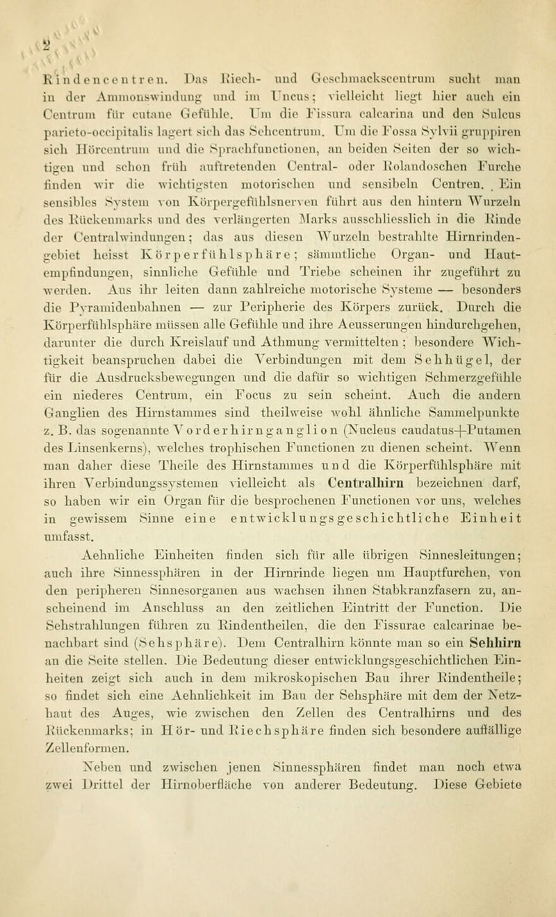 in der Animonswiuduug und im T ncus; viclloirlit liout hier auch ein Centrum für cutano Gefühle, l'm die Fissura calcarina und den Sulcus parieto-occipitalis h\j:ert sicli das .Sehcentrum. Um die Fossa Sylvii gruppiren sich Ilörcentrum und die Spracbfunctionen, an beiden Seiten der so wich- tigen und schon früh auftretenden Central- oder Kolaudoschen Furche finden wir die wichtigsten motorischen und sensibeln Centren. Ein sensibles System von Körpergefühlsnerven führt aus den hintern Wurzeln des Kückenmarks und des verlängerten I\Iarks ausschliesslich in die Kinde der Centralwindungen; das aus diesen Wurzeln bestrahlte Hirnrinden- gebiot heisst K ö r p e r f ü h Isph ä r e ; sämmtliche Organ- und llaut- emptinduugen, sinnliche Gefühle und Triebe scheinen ihr zugeführt zu werden. Aus ihr leiten dann zahlreiche motorische Systeme — besonders die Pvramideubahnen — zur l'eripherie des Körpers zurück. Durch die Körperfühlsphäre müssen alle Gefühle und ihre Aeusserungen hindurchgehen, darunter die durch Kreislauf und Athmung vermittelten ; besondere Wich- tigkeit beanspruchen dabei die Verbindungen mit dem Sehhügel, der für die Ausdrucksbewegungen und die dafür so wichtigen Schmerzgefühle ein niederes Centrum, ein Focus zu sein scheint. Auch die andern Ganglien des Hirnstammes sind theilweise Avohl ähnliche Sammelpunkte z. B. das sogenannte Y o r d e r h ir n g a n g 1 i o n (Nucleus caudatus-[-Futamen des Finsenkerns), welches trophischen Functionen zu dienen scheint. Wenn man daher diese Theile des Ilirustammes u n d die Körperfühlsphäre mit ihren Yerbindungssystemen vielleicht als Centralhirn bezeichnen darf, so haben wir ein Organ für die besprocheneu Functionen vor uns, welches in gewissem Sinne eine entwickl u ngs ge scliichtliche Einheit mnfasst. Aehnliche Einheiten finden sich für alle übrigen Sinnesleitungen; auch ihre Sinuessphären in der Hirnrinde liegen um Hauptfurchen, von den peripheren Sinnesorganen aus wachsen ihnen Stabkranzfasern zu, an- scheinend im Anschluss an den zeitlichen Eintritt der Function. iJie Sehstrahlungen führen zu Rindentheilen, die den Fissurae calcarinae be- nachbart sind (SehSphäre). Dem Centralhirn könnte man so ein Sehhirn an die Seite stellen. Die Bedeutung dieser eutwicklungsgeschichtlichen Ein- heiten zeigt sich auch in dem mikroskopischen Bau ihrer Kindentheile; so findet sich eine Aehnlichkeit im Bau der Sehsphäre mit dem der Netz- haut des Auges, wie zwischen den Zellen des Centralhirns und des Ivückenmarks; in Hör- und Riech Sphäre finden sich besondere aufiällige Zellenformen. Neben und zwischen jenen Sinnessphären findet man noch etwa zwei Drittel der Hirnoberfläche von anderer Bedeutung. Diese Gebiete