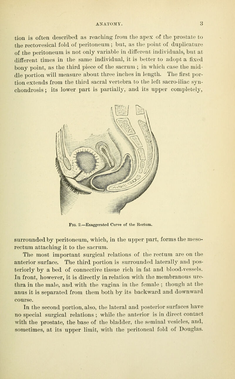 tion is often described as reaching from the apex of the prostate to the rectovesical fold of peritoneum; bat, as the point of duplicature of the peritoneum is not only variable in different individuals, but at different times in the same individual, it is better to adopt a fixed bony point, as the third piece of the sacrum ; in which case the mid- dle portion will measure about three inches in length. The first por- tion extends from the third sacral vertebra to the left sacro-iliac syn- chondrosis ; its lower part is partially, and its upper completely, Fig. 2.—Exaggerated Curve of the Rectum. surrounded by peritoneum, which, in the upper part, forms the meso- rectum attaching it to the sacrum. The most important surgical relations of the rectum are on the anterior surface. The third portion is surrounded laterally and pos- teriorly by a bed of connective tissue rich in fat and blood-vessels. In front, however, it is directly in relation with the membranous ure- thra in the male, and with the vagina in the female ; though at the anus it is separated from them both by its backward and downward course. In the second portion, also, the lateral and posterior surfaces have no special surgical relations ; while the anterior is in direct contact with the prostate, the base of the bladder, tlie seminal vesicles, and, sometimes, at its upper limit, with the peritoneal fold of Douglas.