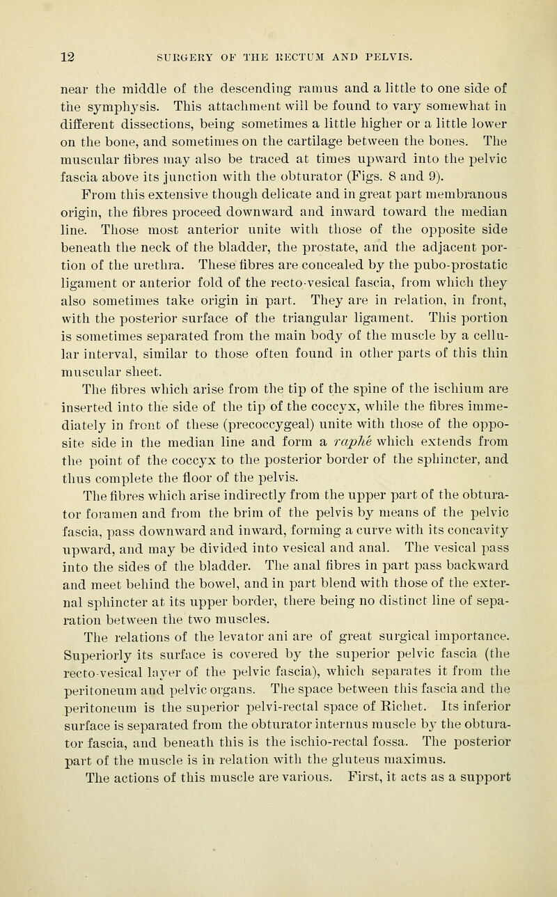 near the middle of tlie descending ramus and a little to one side of tiie symphysis. This attachment will be found to vary somewhat in different dissections, being sometimes a little higher or a little lower on the bone, and sometimes on the cartilage between the bones. The muscular fibres may also be traced at times upward into the pelvic fascia above its junction with the obturator (Figs. 8 and 9). From this extensive though delicate and in great part membranous origin, the fibres proceed downward and inward toward the median line. Those most anterior unite with those of the opposite side beneath the neck of the bladder, the prostate, and the adjacent por- tion of the urethra. These fibres are concealed by the pubo-prostatic ligament or anterior fold of the recto-vesical fascia, from which they also sometimes take origin in part. They are in relation, in front, with the posterior surface of the triangular ligament. This portion is sometimes separated from the main body of the muscle by a cellu- lar interval, similar to those often found in other parts of this thin muscular sheet. The fibres which arise from the tip of the spine of the ischium are inserted into the side of the tip of the coccyx, while the fibres imme- diately in front of these (precoccygeal) unite with those of the oppo- site side in the median line and form a raphe which extends from the point of the coccyx to the posterior border of the sphincter, and thus complete the floor of the pelvis. The fibres which arise indirectly from the upper part of the obtura- tor foramen and from the brim of the pelvis by means of the pelvic fascia, pass downward and inward, forming a curve with its concavity upward, and may be divided into vesical and anal. The vesical pass into the sides of the bladder. The anal fibres in part pass backward and meet behind the bowel, and in part blend with those of the exter- nal sphincter at its upper border, there being no distinct line of sepa- ration between the two muscles. The relations of the levator ani are of great surgical importance. Superiorly its surface is covered by the superior pelvic fascia (the rectovesical layer of the pelvic fascia), which separates it from the peritoneum and pelvic organs. The space between this fascia and the peritoneum is the superior pelvi-rectal space of Richet. Its inferior surface is separated from the obturator internus muscle by the obtura- tor fascia, and beneath this is the ischio-rectal fossa. The posterior part of the muscle is in relation with the gluteus maximus. The actions of this muscle are various. First, it acts as a support