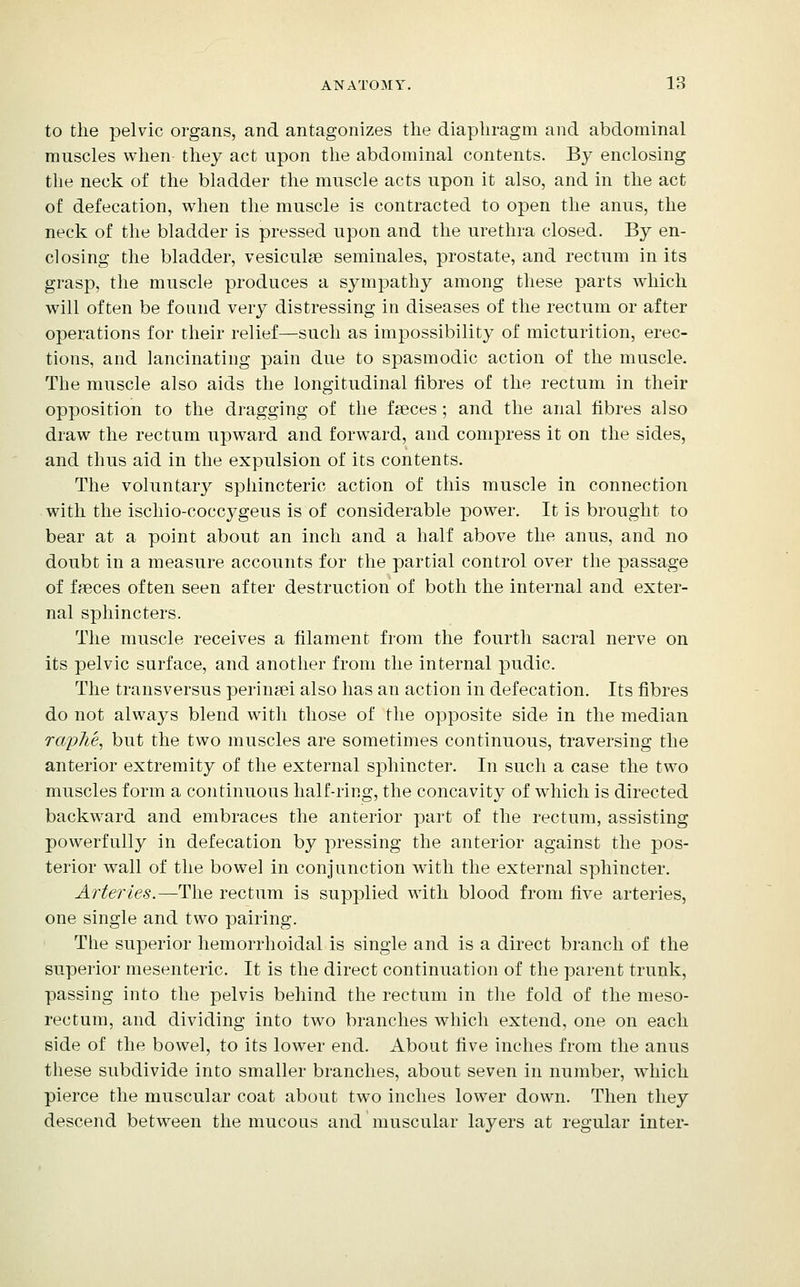 to the pelvic organs, and antagonizes the diaphragm and abdominal muscles when they act upon the abdominal contents. By enclosing the neck of the bladder the muscle acts upon it also, and in the act of defecation, when the muscle is contracted to open the anus, the neck of the bladder is pressed upon and the urethra closed. By en- closing the bladder, vesiculse seminales, prostate, and rectum in its grasp, tlie muscle produces a sympathy among these parts which will often be found very distressing in diseases of the rectum or after operations for their relief—such as impossibility of micturition, erec- tions, and lancinating pain due to spasmodic action of the muscle. The muscle also aids the longitudinal fibres of the rectum in their opposition to the dragging of the faeces ; and the anal fibres also draw the rectum upward and forward, and compress it on the sides, and thus aid in the expulsion of its contents. The voluntary sphincteric action of this muscle in connection with the ischio-coccygeus is of considerable power. It is brought to bear at a point about an inch and a half above the anus, and no doubt in a measure accounts for the partial control over the passage of ffeces often seen after destruction of both the internal and exter- nal sphincters. The muscle receives a filament from the fourth sacral nerve on its pelvic surface, and another from the internal pudic. The transversus perin?ei also has an action in defecation. Its fibres do not always blend with those of the opposite side in the median raphe, but the two muscles are sometimes continuous, traversing the anterior extremity of the external sphincter. In such a case the two muscles form a continuous half-ring, the concavity of w^hich is directed backward and embraces the anterior part of the rectum, assisting powerfully in defecation by pressing the anterior against the pos- terior wall of the bowel in conjunction with the external sphincter. Arteries.—The rectum is supplied with blood from five arteries, one single and two pairing. The superior hemorrhoidal is single and is a direct branch of the superior mesenteric. It is the direct continuation of the parent trunk, passing into the pelvis behind the rectum in the fold of the meso- rectum, and dividing into two branches which extend, one on each side of the bowel, to its lower end. About five inches from the anus these subdivide into smaller branches, about seven in number, which pierce the muscular coat about two inches lower down. Then they descend between the mucous and muscular layers at regular inter-