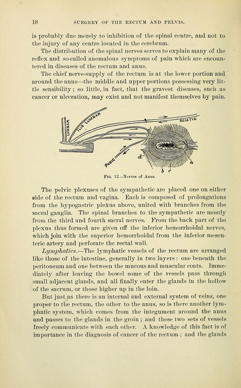 is probably due merely to inliibition of the spinal centre, and not to the injury of any centre located in the cerebrum. The distribution of the spinal nerves serves to explain many of the reflex and so-called anomalous symptoms of pain which are encoun- tered in diseases of the rectum and anus. The chief nerve-supply of the rectum is at the lower portion and around the anus—the middle and upper portions possessing very lit- tle sensibility; so little, in fact, that the gravest diseases, such as cancer or ulceration, may exist and not manifest themselves by pain. h c Fig. 13.—Ntrves of Anus. The pelvic plexuses of the sympathetic are placed one on either eide of the rectum and vagina. Each is composed of prolongations from the hypogastric plexus above, united with branches from the sacral ganglia. The spinal branches to the sympathetic are mostly from the third and fourth sacral nerves. From the back part of the plexus thus formed are given off the inferior hemorrhoidal nerves, which join with the superior hemorrhoidal from the inferior mesen- teric artery and perforate the rectal wall. Lymphatics.—The lymphatic vessels of the rectum are arranged like those of the intestine, generally in two layers : one beneath the peritoneum and one between the mucous and muscular coats. Imme- diately after leaving the bowel some of the vessels pass through small adjacent glands, and all finally enter the glands in the hollow of the sacrum, or those higher up in the loin. But just as there is an internal and external system of veins, one proper to the rectum, the other to the anus, so is there another lym- phatic system, which comes from the integument around the anus and passes to the glands in the groin ; and these two sets of vessels freely communicate with each other. A knowledge of this fact is of importance in the diagnosis of cancer of the rectum ; and the glands