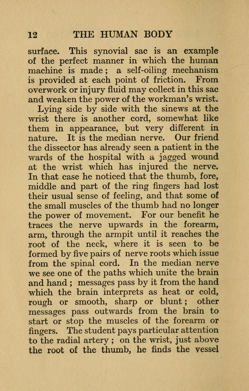 surface. This synovial sac is an example of the perfect manner in which the human machine is made ; a self-oiling mechanism is provided at each point of friction. From overwork or injury fluid may collect in this sac and weaken the power of the workman's wrist. Lying side by side with the sinews at the wrist there is another cord, somewhat like them in appearance, but very different in nature. It is the median nerve. Our friend the dissector has already seen a patient in the wards of the hospital with a jagged wound at the wrist which has injured the nerve. In that case he noticed that the thumb, fore, middle and part of the ring fingers had lost their usual sense of feeling, and that some of the small muscles of the thumb had no longer the power of movement. For our benefit he traces the nerve upwards in the forearm, arm, through the armpit until it reaches the root of the neck, where it is seen to be formed by five pairs of nerve roots which issue from the spinal cord. In the median nerve we see one of the paths which unite the brain and hand ; messages pass by it from the hand which the brain interprets as heat or cold, rough or smooth, sharp or blunt; other messages pass outwards from the brain to start or stop the muscles of the forearm or fingers. The student pays particular attention to the radial artery ; on the wrist, just above the root of the thumb, he finds the vessel