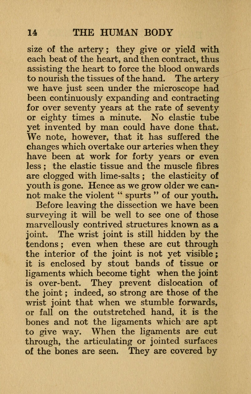 size of the artery; they give or yield with each beat of the heart, and then contract, thus assisting the heart to force the blood onwards to nourish the tissues of the hand. The artery we have just seen under the microscope had been continuously expanding and contracting for over seventy years at the rate of seventy or eighty times a minute. No elastic tube yet invented by man could have done that. We note, however, that it has suffered the changes which overtake our arteries when they have been at work for forty years or even less; the elastic tissue and the muscle fibres are clogged with lime-salts; the elasticity of youth is gone. Hence as we grow older we can- not make the violent  spurts  of our youth. Before leaving the dissection we have been surveying it will be well to see one of those marvellously contrived structures known as a joint. The wrist joint is still hidden by the tendons ; even when these are cut through the interior of the joint is not yet visible; it is enclosed by stout bands of tissue or ligaments which become tight when the joint is over-bent. They prevent dislocation of the joint; indeed, so strong are those of the wrist joint that when we stumble forwards, or fall on the outstretched hand, it is the bones and not the ligaments which are apt to give way. When the ligaments are cut through, the articulating or jointed surfaces of the bones are seen. They are covered by