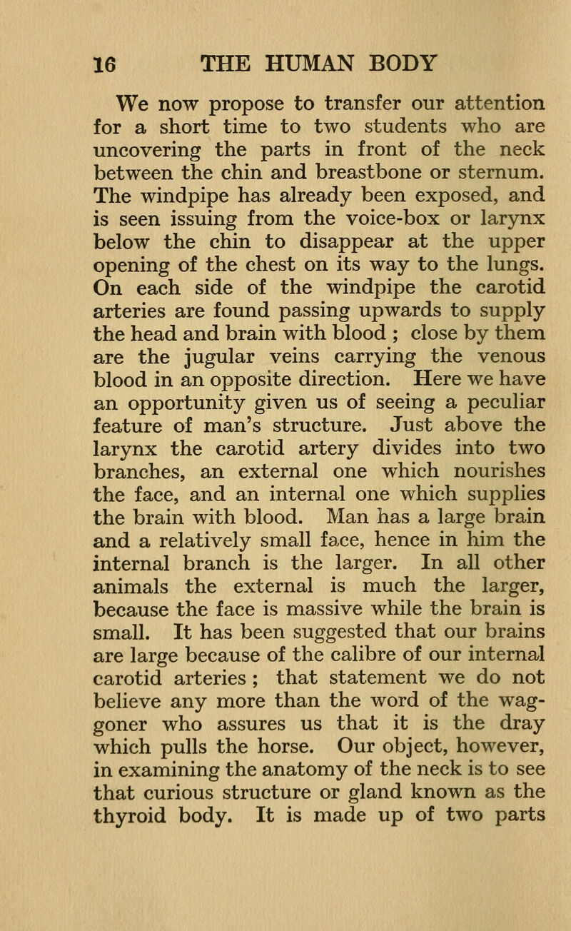 We now propose to transfer our attention for a short time to two students who are uncovering the parts in front of the neck between the chin and breastbone or sternum. The windpipe has already been exposed, and is seen issuing from the voice-box or larynx below the chin to disappear at the upper opening of the chest on its way to the lungs. On each side of the windpipe the carotid arteries are found passing upwards to supply the head and brain with blood ; close by them are the jugular veins carrying the venous blood in an opposite direction. Here we have an opportunity given us of seeing a peculiar feature of man's structure. Just above the larynx the carotid artery divides into two branches, an external one which nourishes the face, and an internal one which supplies the brain with blood. Man has a large brain and a relatively small face, hence in him the internal branch is the larger. In all other animals the external is much the larger, because the face is massive while the brain is small. It has been suggested that our brains are large because of the calibre of our internal carotid arteries ; that statement we do not believe any more than the word of the wag- goner who assures us that it is the dray which pulls the horse. Our object, however, in examining the anatomy of the neck is to see that curious structure or gland known as the thyroid body. It is made up of two parts