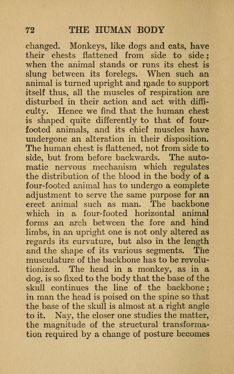 changed. Monkeys, like dogs and cats, have their chests flattened from side to side; when the animal stands or runs its chest is slung between its forelegs. When such an animal is turned upright and rjiade to support itself thus, all the muscles of respiration are disturbed in their action and act with diffi- culty. Hence we find that the human chest is shaped quite difierently to that of four- footed animals, and its chief muscles have undergone an alteration in their disposition. The human chest is flattened, not from side to side, but from before backwards. The auto- matic nervous mechanism which regulates the distribution of the blood in the body of a four-footed animal has to undergo a complete adjustment to serve the same purpose for an erect animal such as man. The backbone which in a four-footed horizontal animal forms an arch between the fore and hind limbs, in an upright one is not only altered as regards its curvature, but also in the length and the shape of its various segments. The musculature of the backbone has to be revolu- tionized. The head in a monkey, as in a dog, is so fixed to the body that the base of the skull continues the line of the backbone; in man the head is poised on the spine so that the base of the skull is almost at a right angle to it. Nay, the closer one studies the matter, the magnitude of the structural transforma- tion required by a change of posture becomes